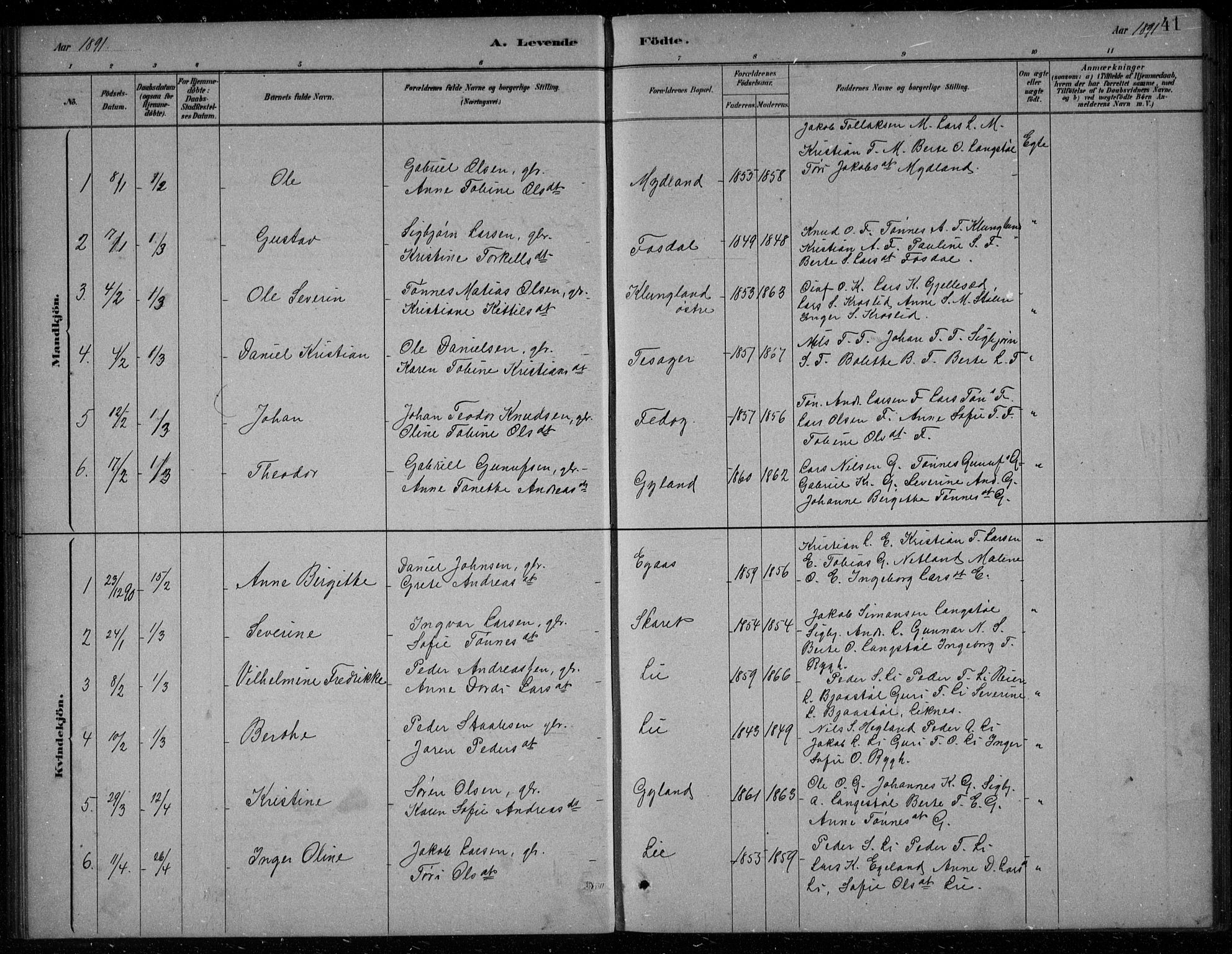 Bakke sokneprestkontor, SAK/1111-0002/F/Fb/Fbb/L0003: Parish register (copy) no. B 3, 1878-1896, p. 41