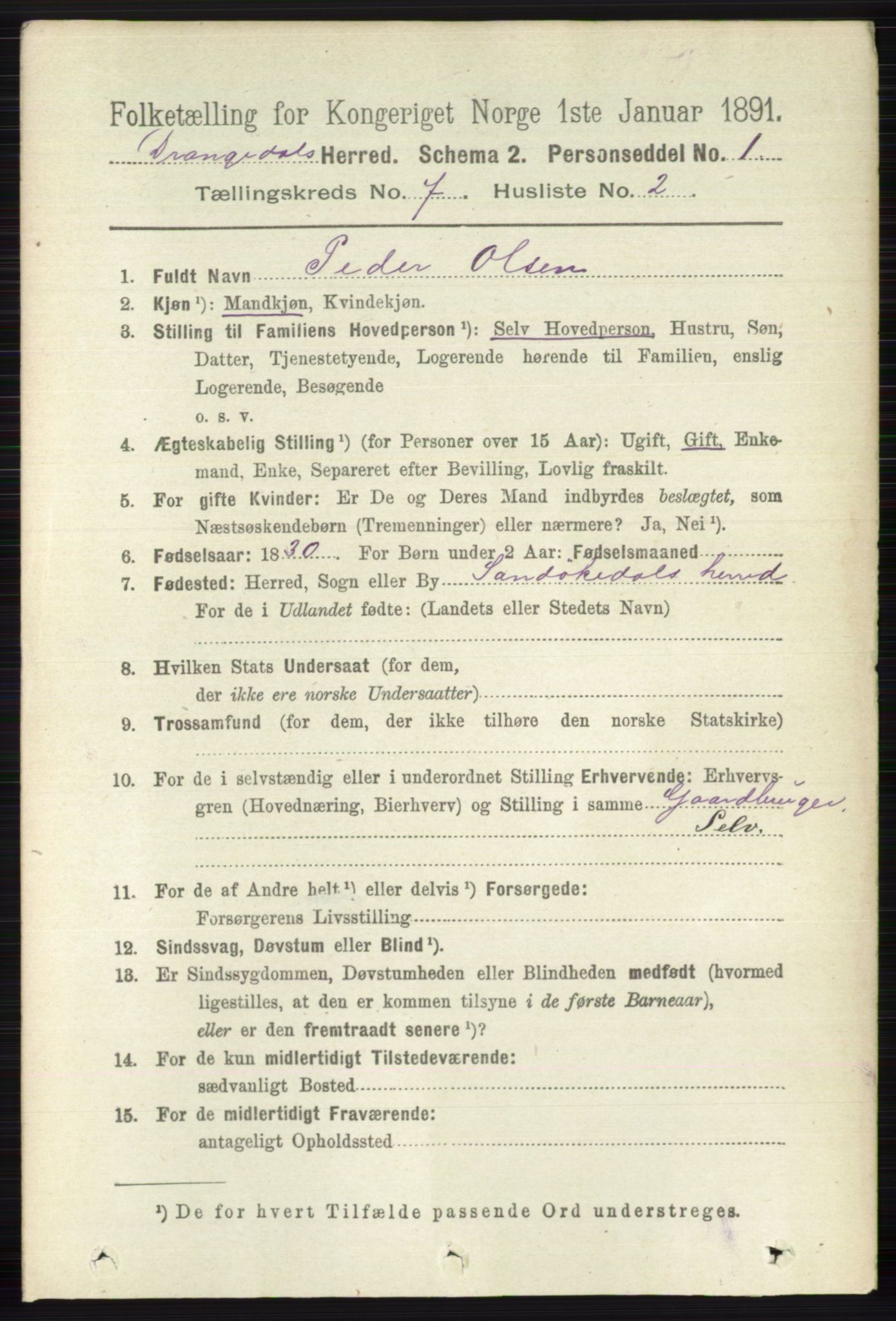 RA, 1891 census for 0817 Drangedal, 1891, p. 2407