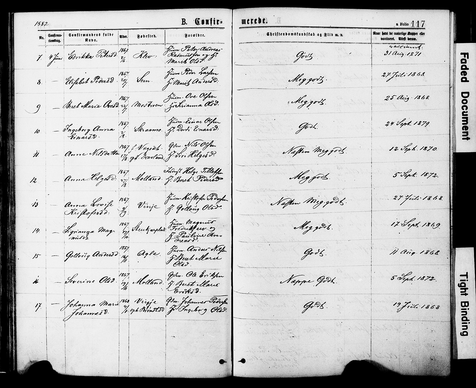 Ministerialprotokoller, klokkerbøker og fødselsregistre - Nord-Trøndelag, SAT/A-1458/749/L0473: Parish register (official) no. 749A07, 1873-1887, p. 117