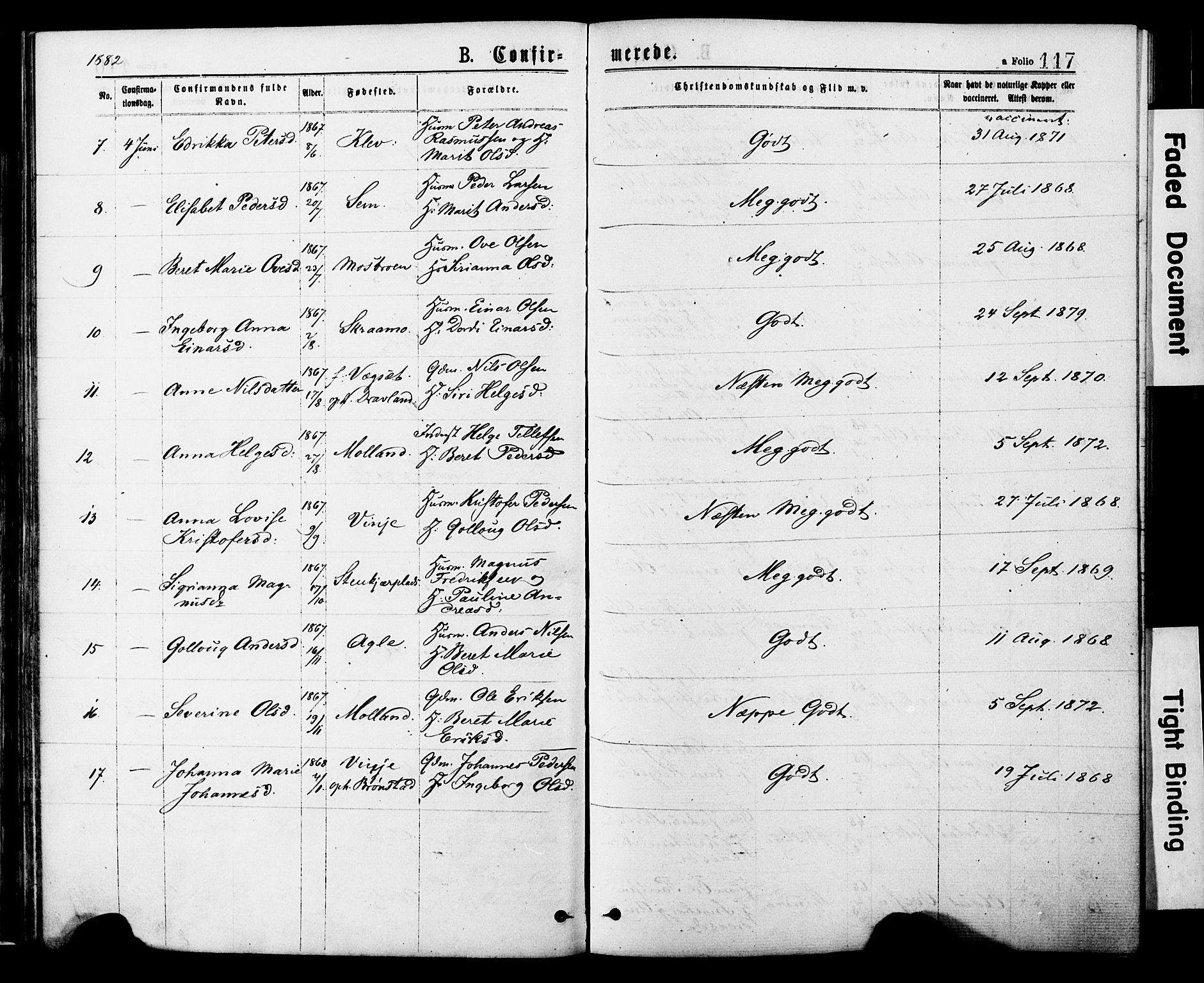 Ministerialprotokoller, klokkerbøker og fødselsregistre - Nord-Trøndelag, AV/SAT-A-1458/749/L0473: Parish register (official) no. 749A07, 1873-1887, p. 117