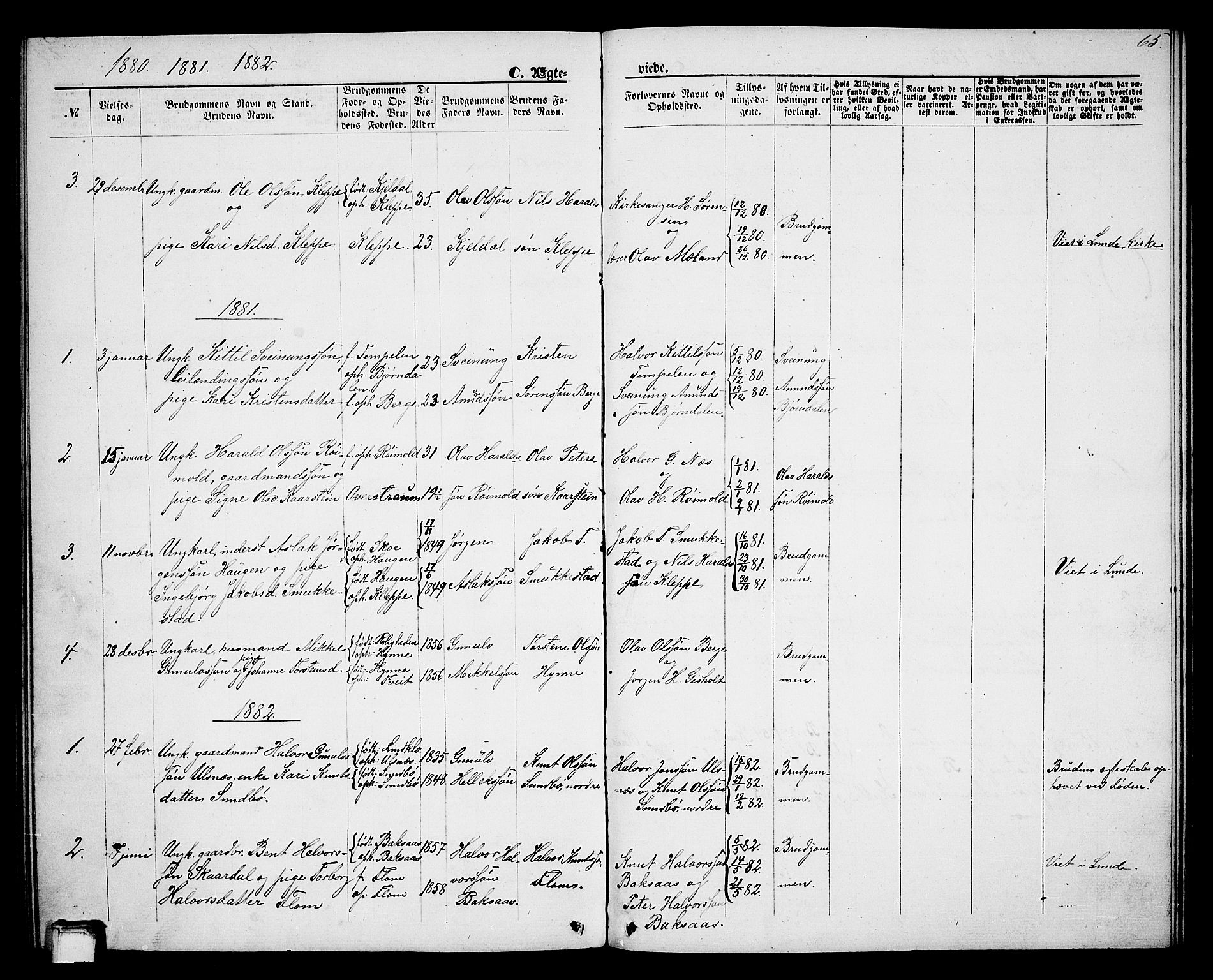 Lunde kirkebøker, AV/SAKO-A-282/G/Gb/L0001: Parish register (copy) no. II 1, 1866-1887, p. 65