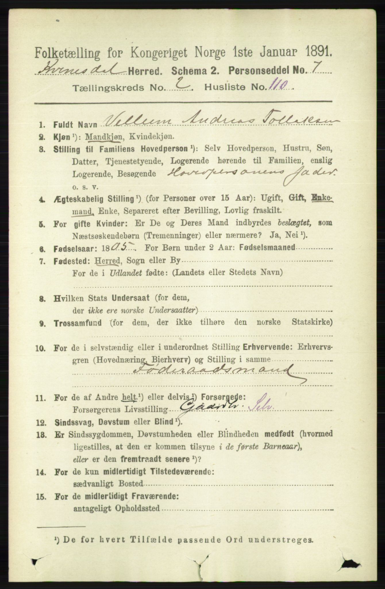 RA, 1891 census for 1037 Kvinesdal, 1891, p. 950