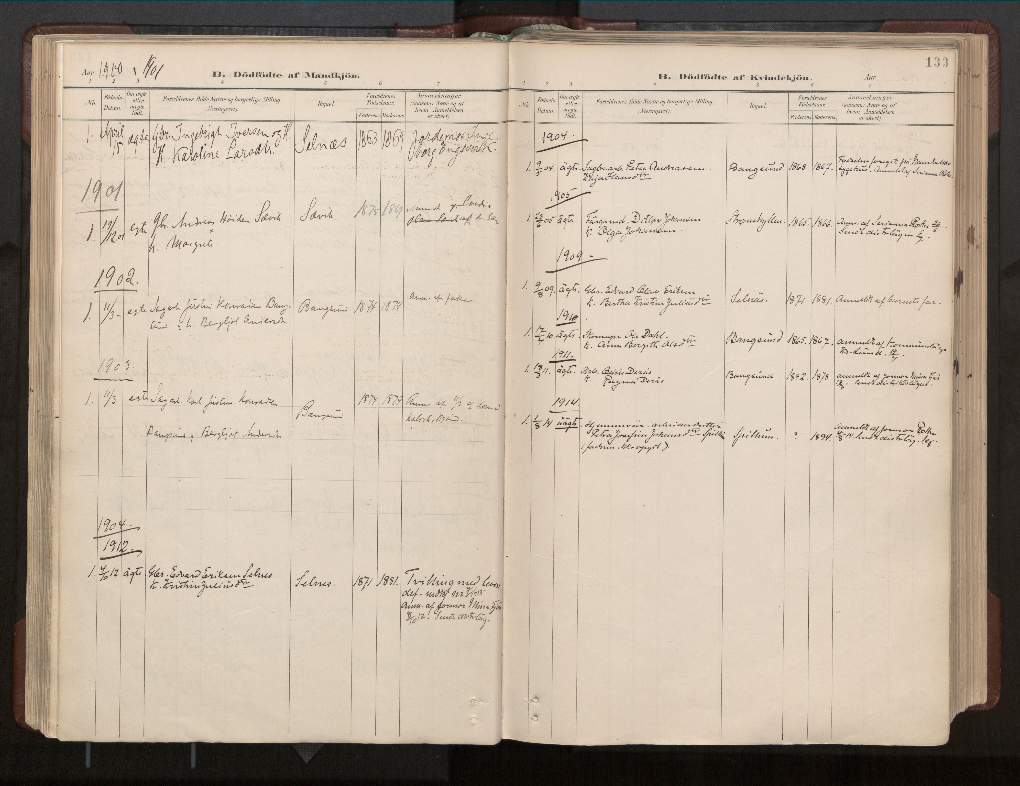 Ministerialprotokoller, klokkerbøker og fødselsregistre - Nord-Trøndelag, SAT/A-1458/770/L0589: Parish register (official) no. 770A03, 1887-1929, p. 133