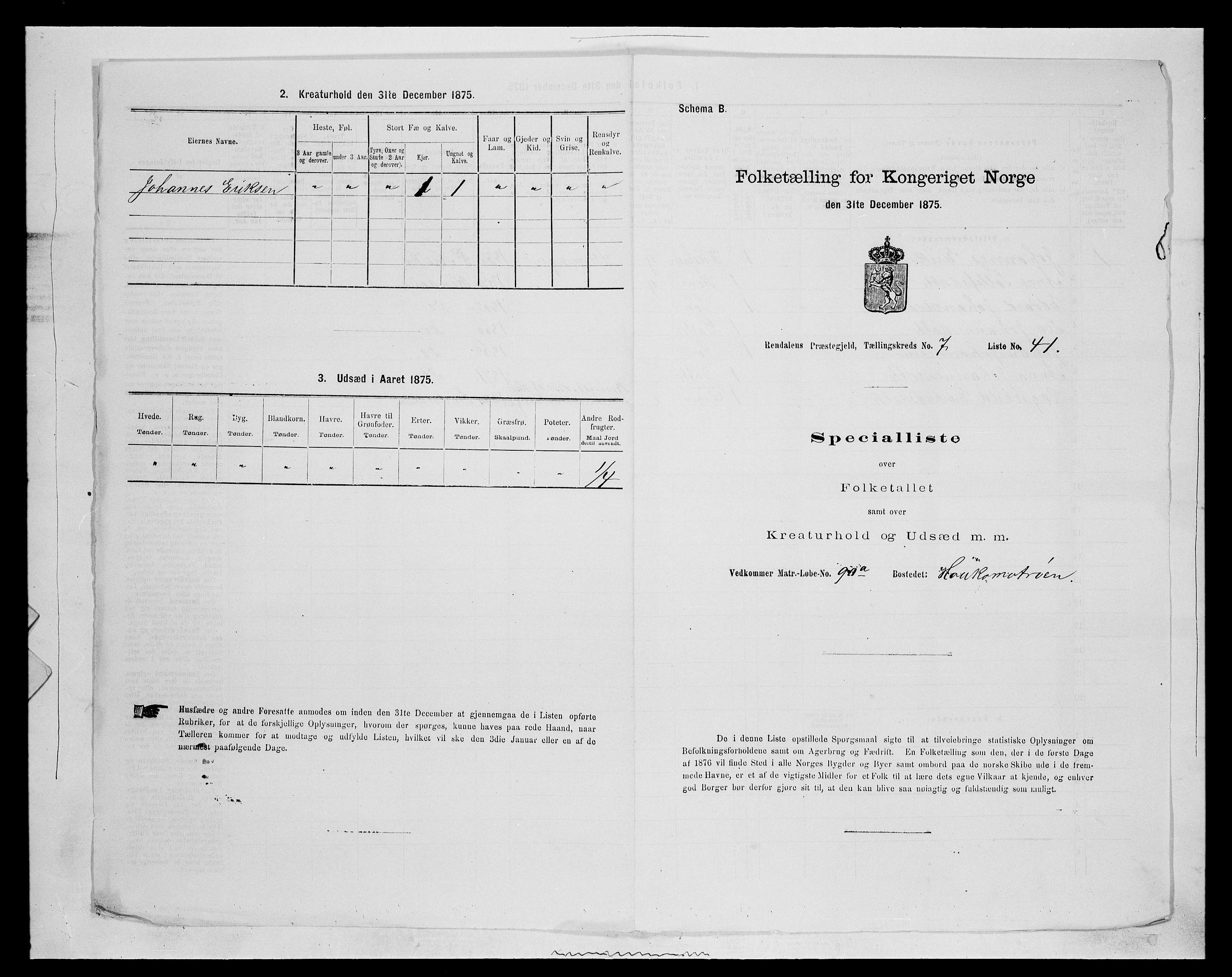 SAH, 1875 census for 0432P Rendalen, 1875, p. 697