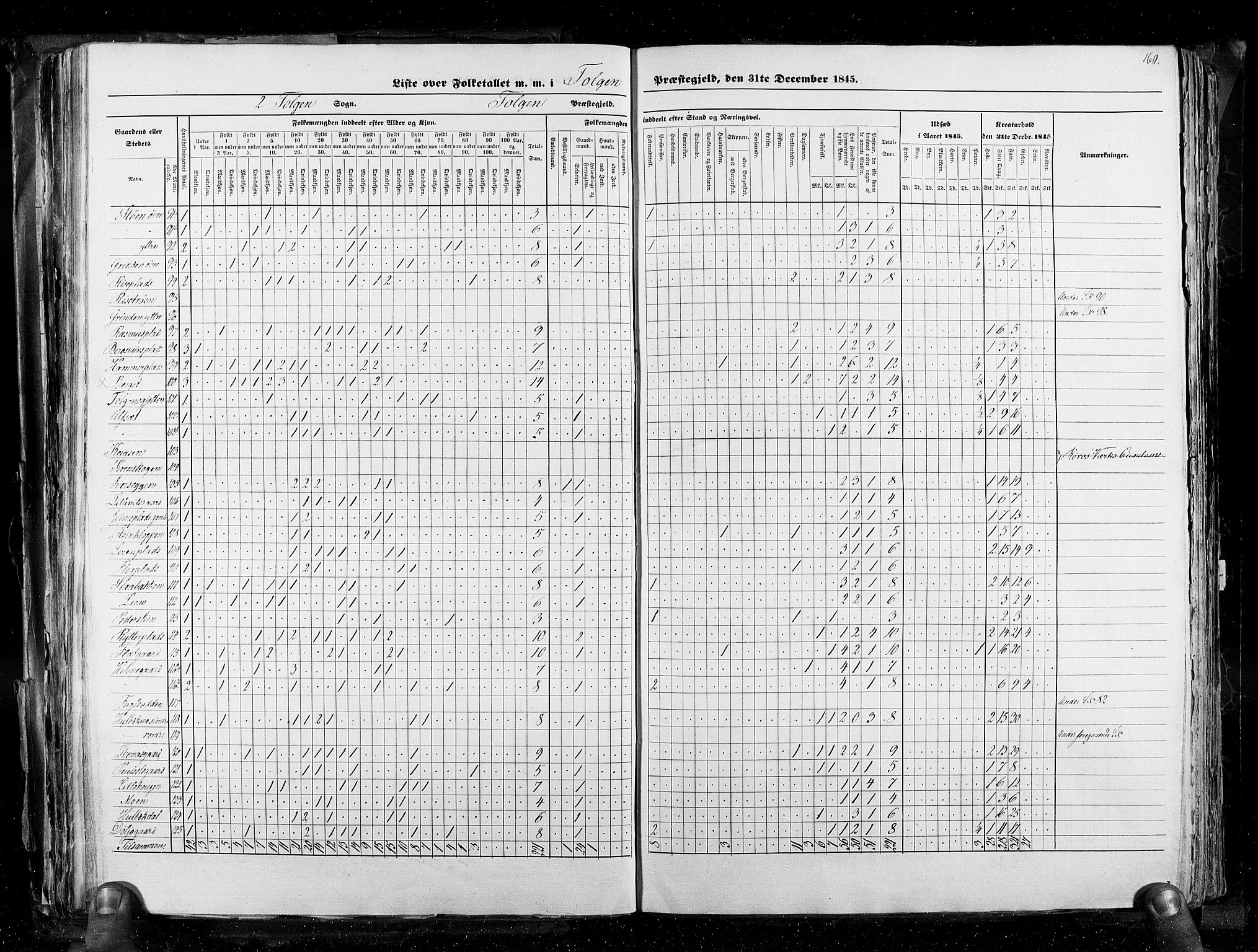 RA, Census 1845, vol. 3: Hedemarken amt og Kristians amt, 1845, p. 160