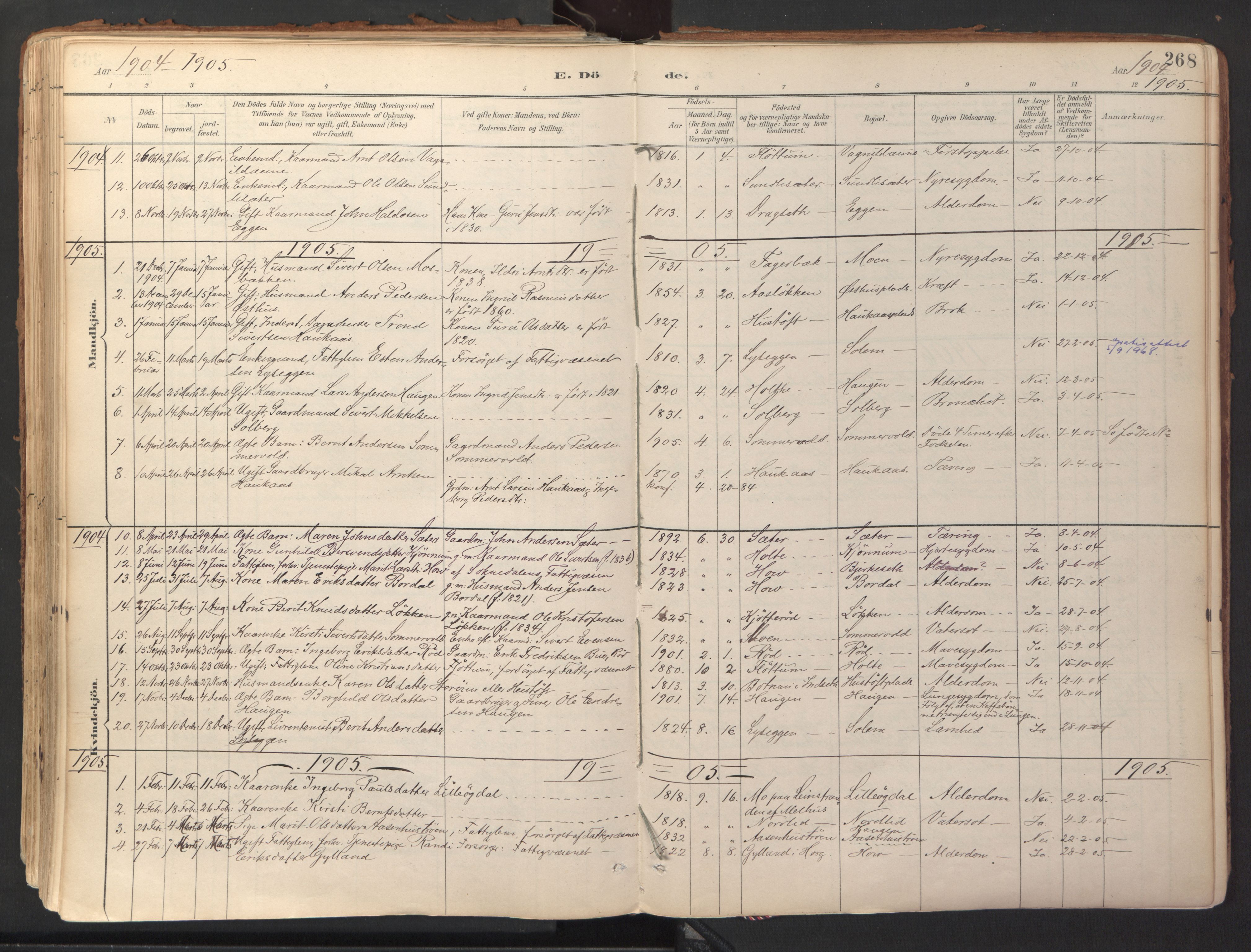 Ministerialprotokoller, klokkerbøker og fødselsregistre - Sør-Trøndelag, SAT/A-1456/689/L1041: Parish register (official) no. 689A06, 1891-1923, p. 268