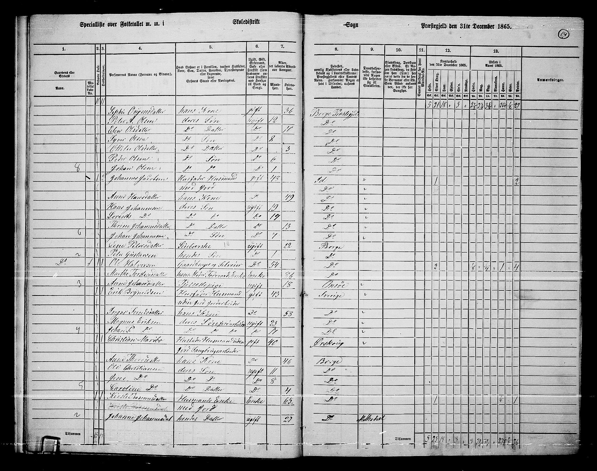 RA, 1865 census for Borge, 1865, p. 14