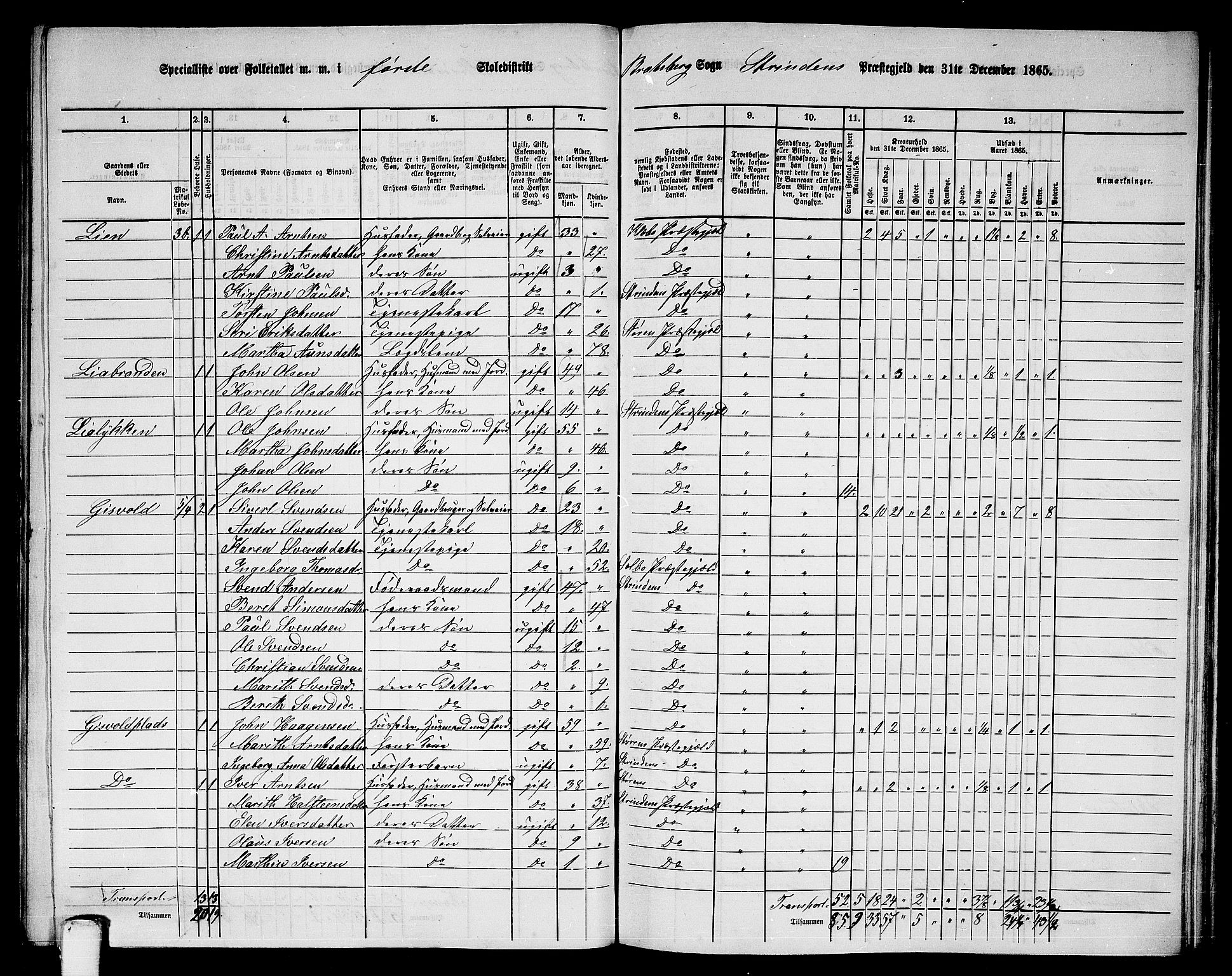 RA, 1865 census for Strinda, 1865, p. 163