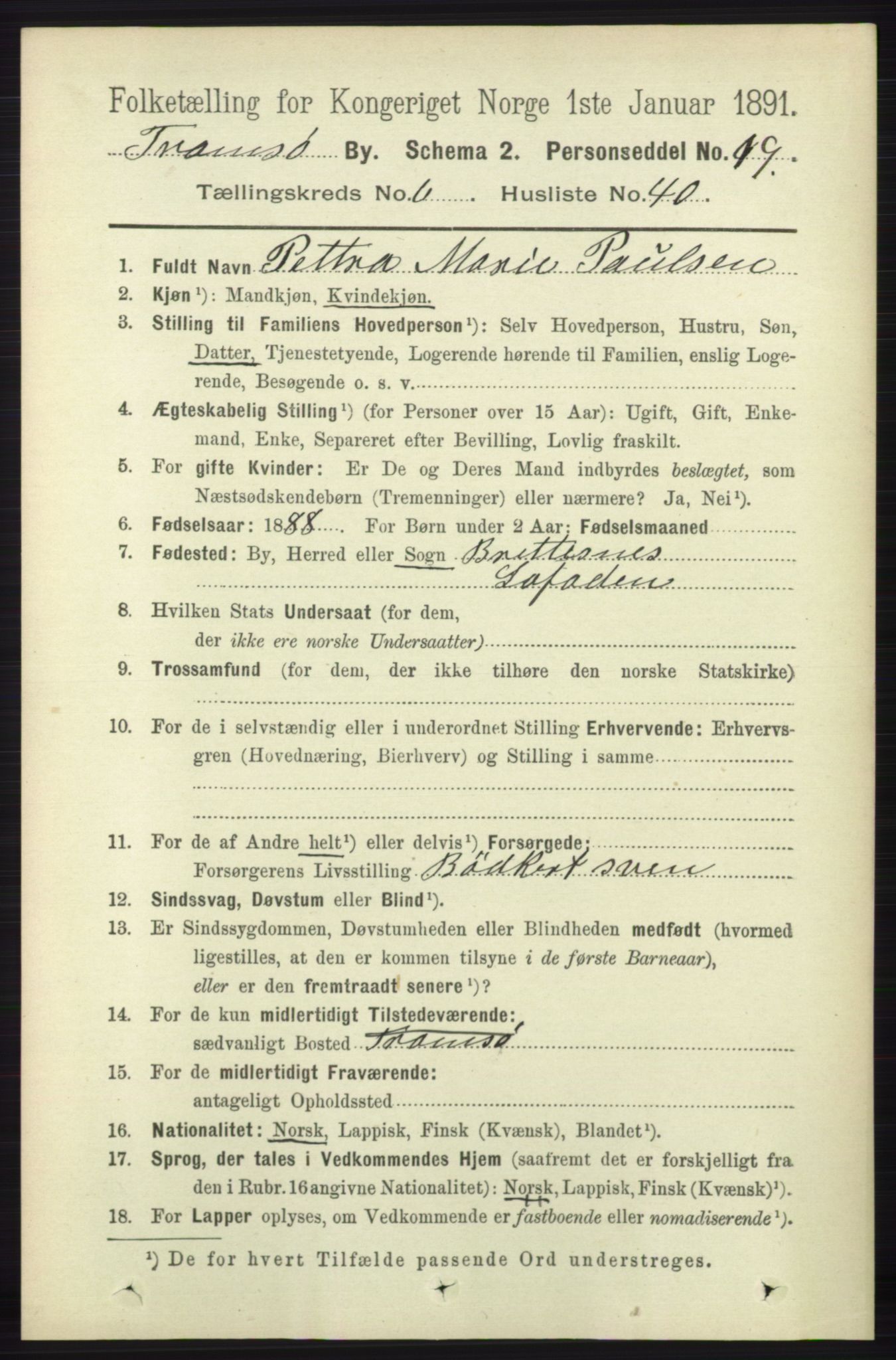 RA, 1891 census for 1902 Tromsø, 1891, p. 6066