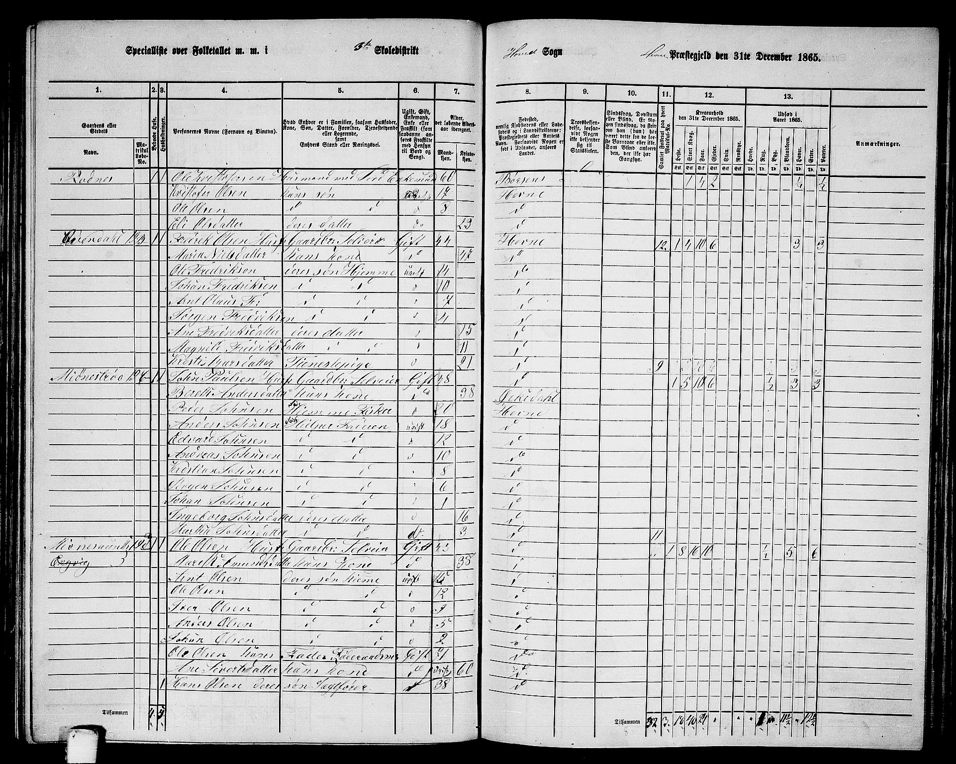 RA, 1865 census for Hemne, 1865, p. 119