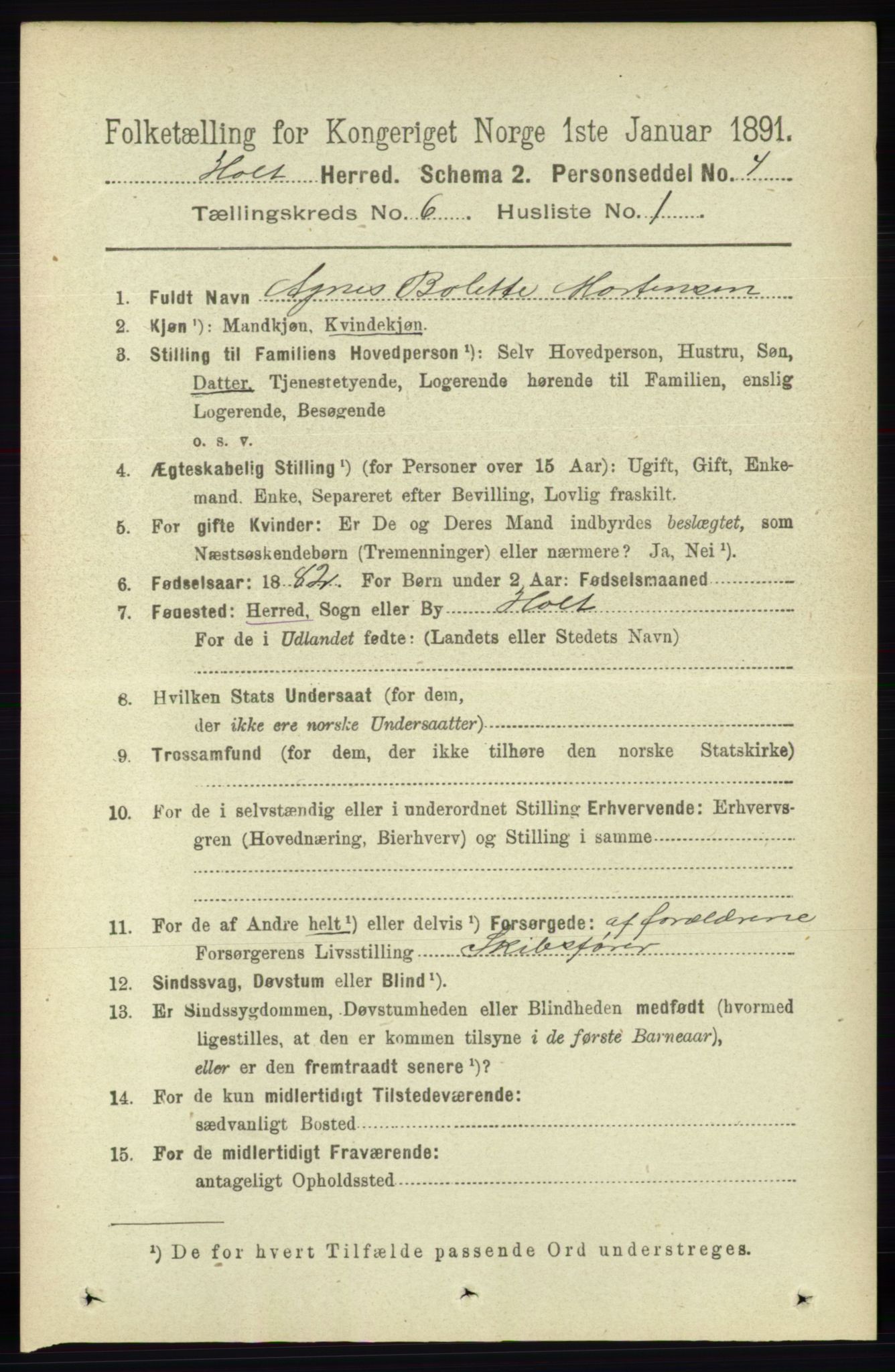 RA, 1891 census for 0914 Holt, 1891, p. 3000