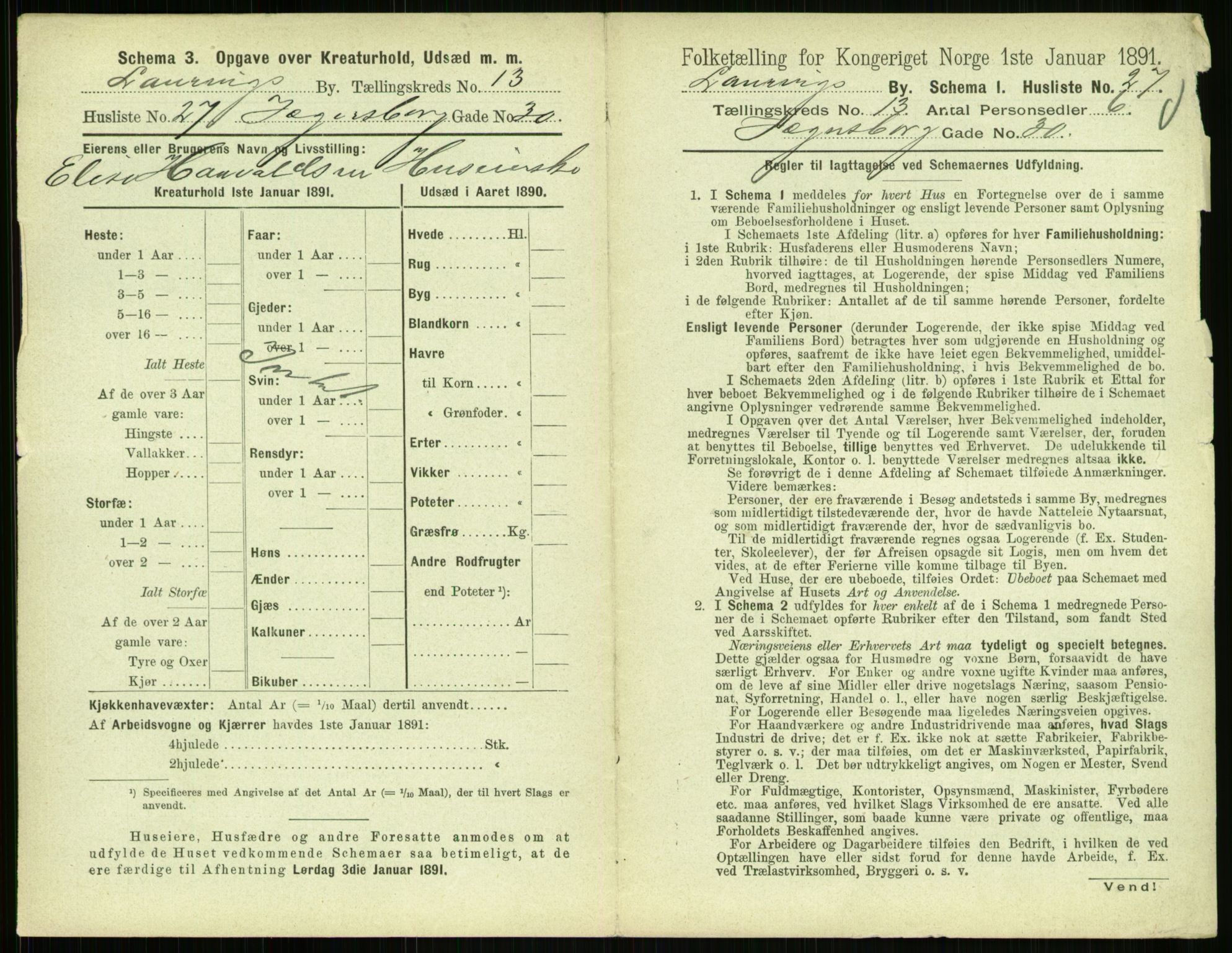 RA, 1891 census for 0707 Larvik, 1891, p. 1561