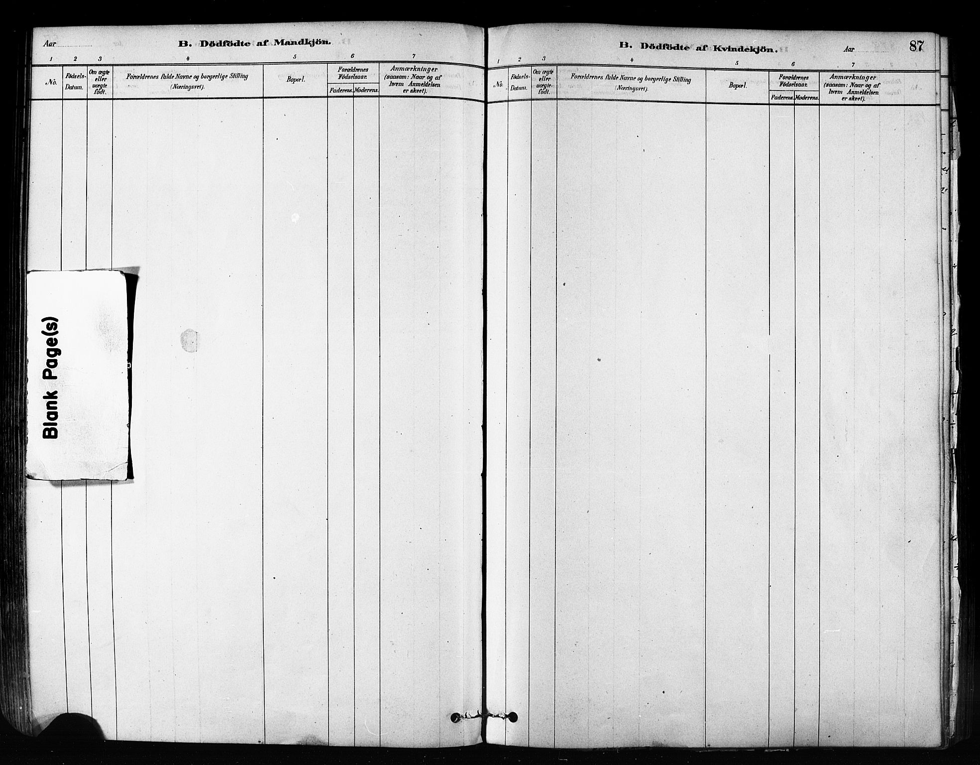 Talvik sokneprestkontor, SATØ/S-1337/H/Ha/L0012kirke: Parish register (official) no. 12, 1878-1886, p. 87
