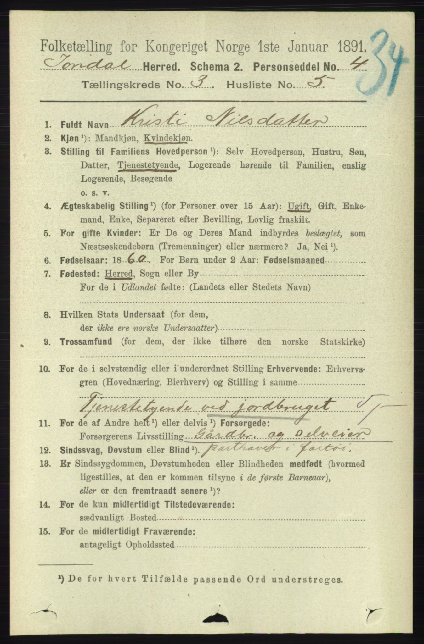 RA, 1891 census for 1227 Jondal, 1891, p. 1333