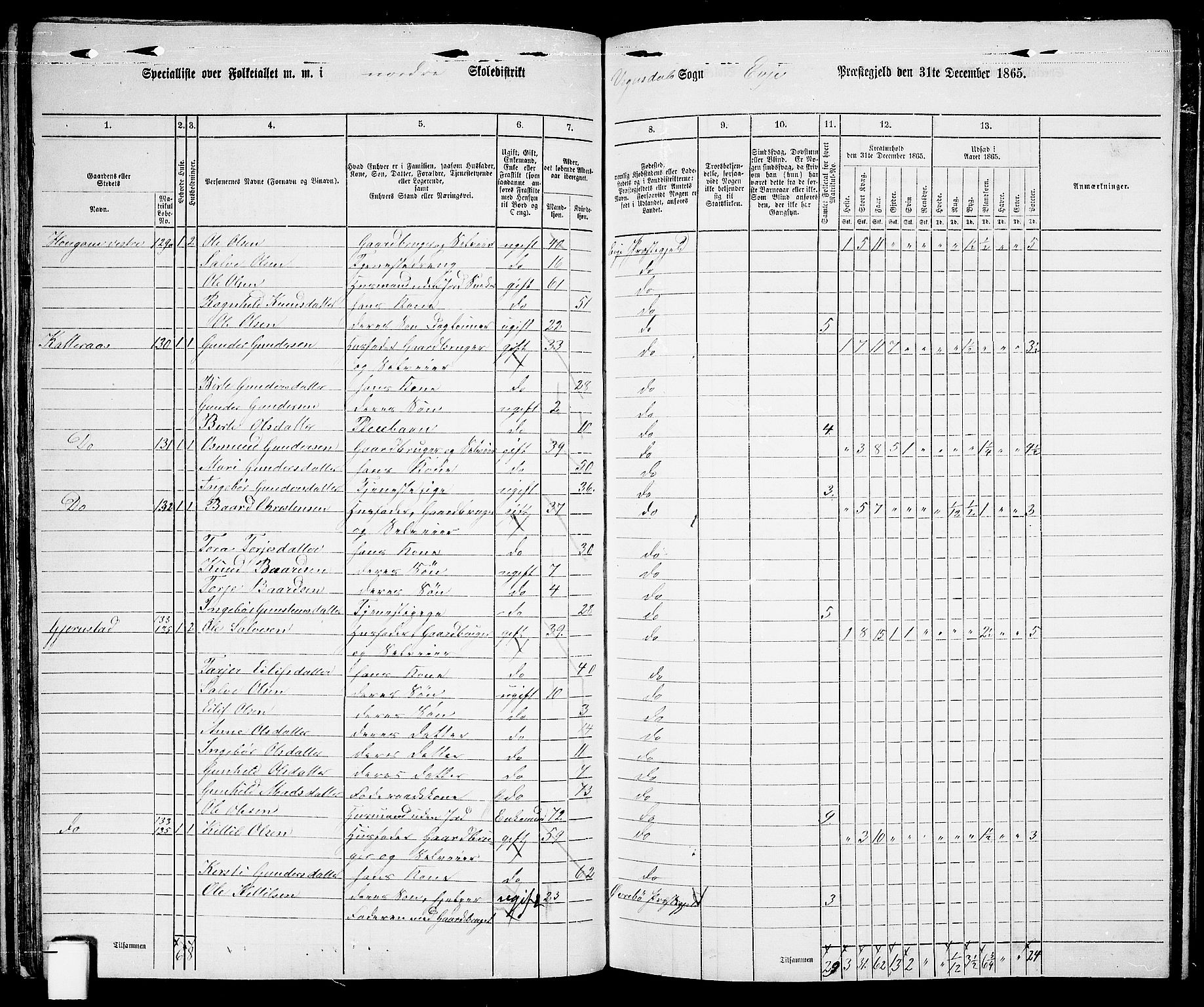 RA, 1865 census for Evje, 1865, p. 50