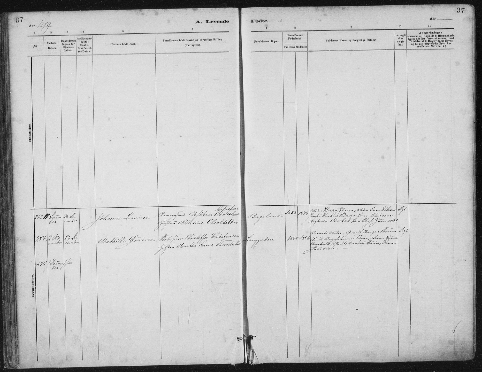 St. Petri sokneprestkontor, AV/SAST-A-101813/001/30/30BA/L0015: Parish register (official) no. A 15, 1879-1888, p. 37