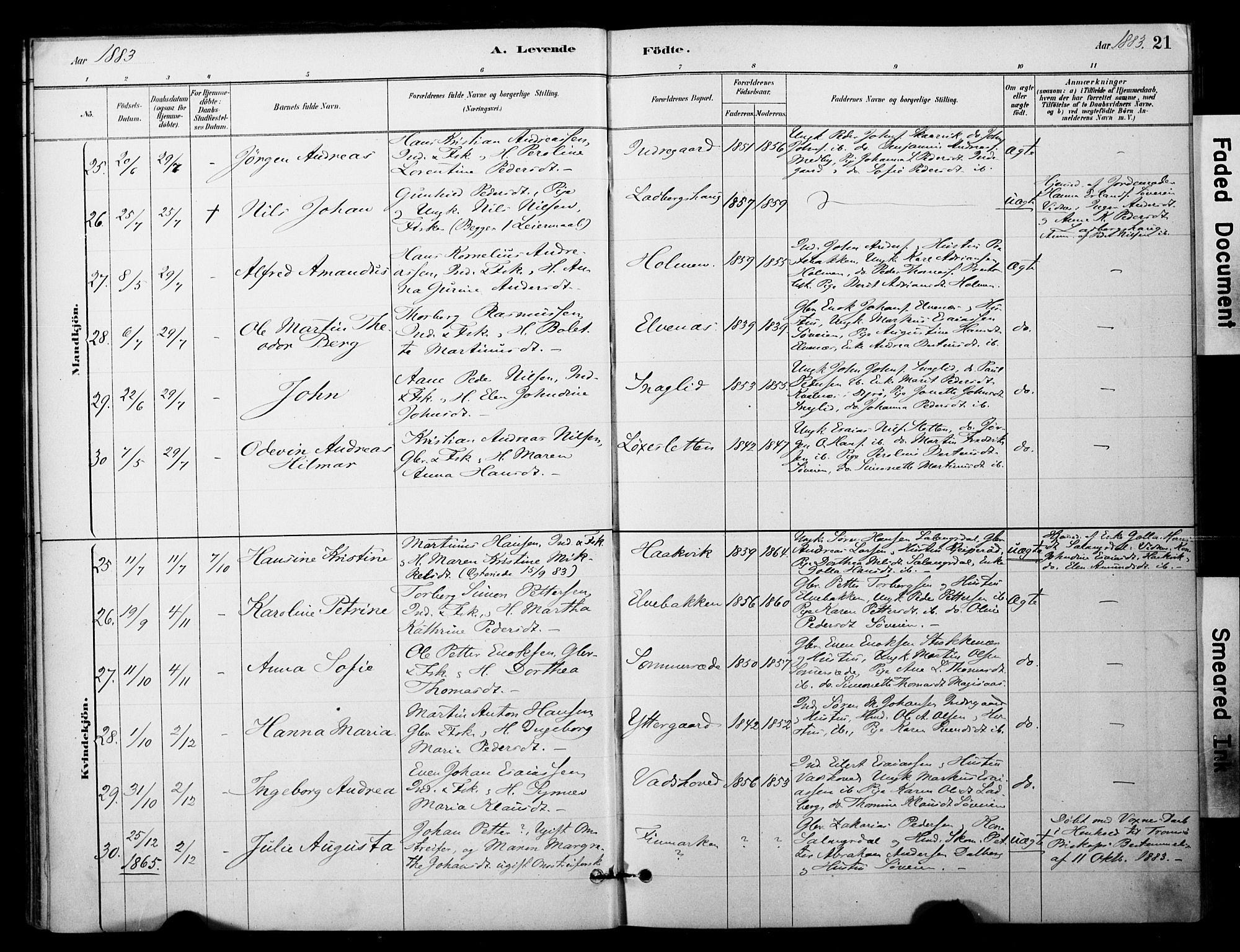 Ibestad sokneprestembete, AV/SATØ-S-0077/H/Ha/Haa/L0014kirke: Parish register (official) no. 14, 1880-1887, p. 21