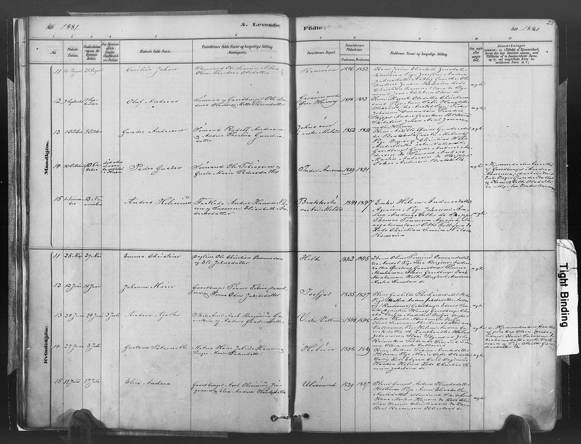 Høvåg sokneprestkontor, SAK/1111-0025/F/Fa/L0005: Parish register (official) no. A 5, 1878-1893, p. 23