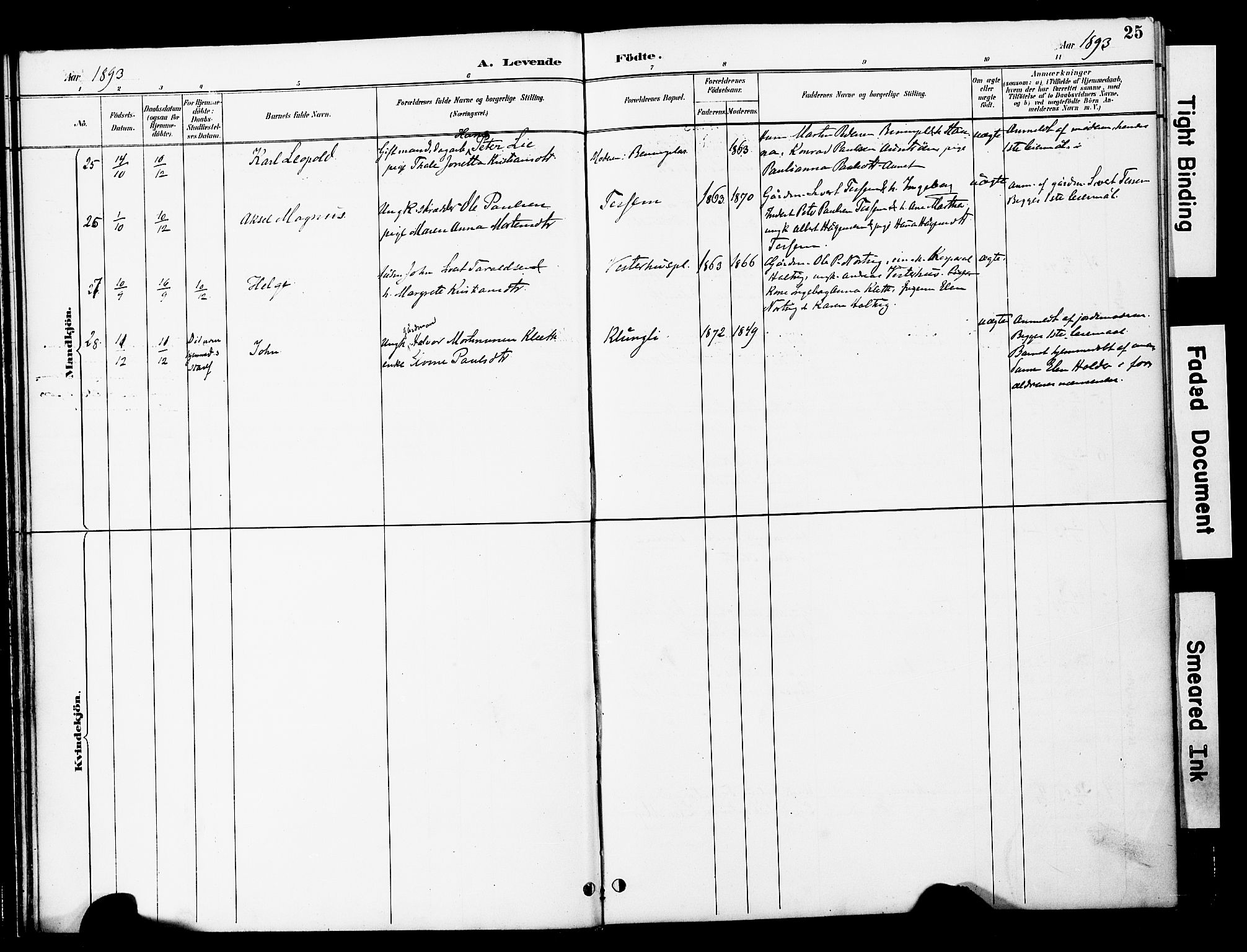 Ministerialprotokoller, klokkerbøker og fødselsregistre - Nord-Trøndelag, SAT/A-1458/741/L0396: Parish register (official) no. 741A10, 1889-1901, p. 25