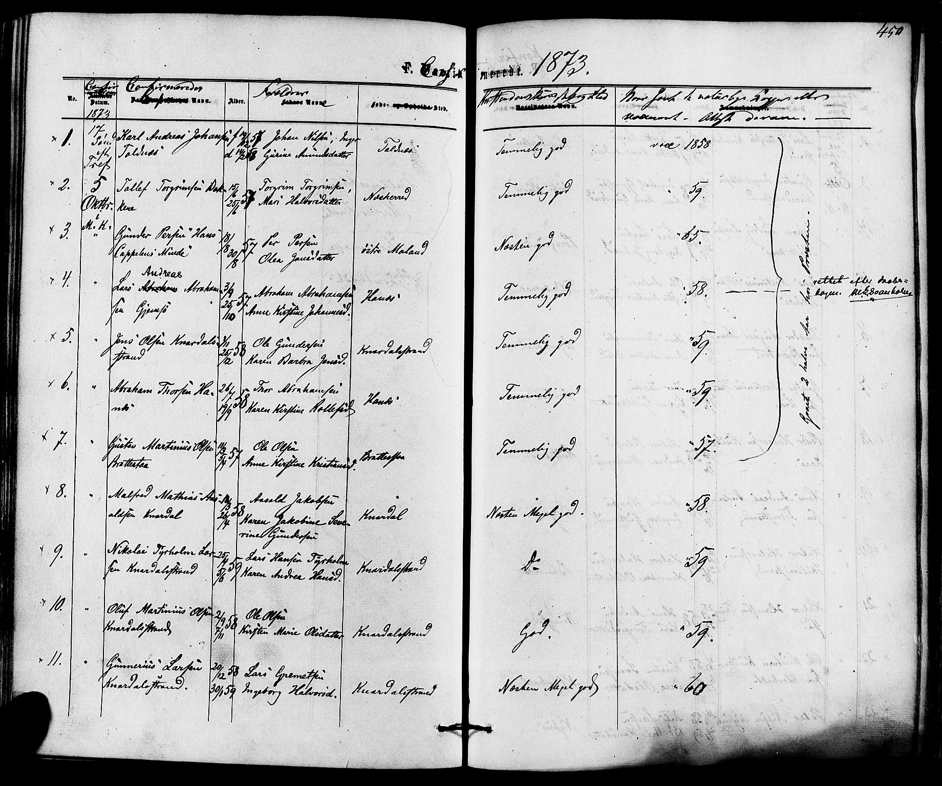 Solum kirkebøker, AV/SAKO-A-306/F/Fa/L0008: Parish register (official) no. I 8, 1865-1876, p. 450