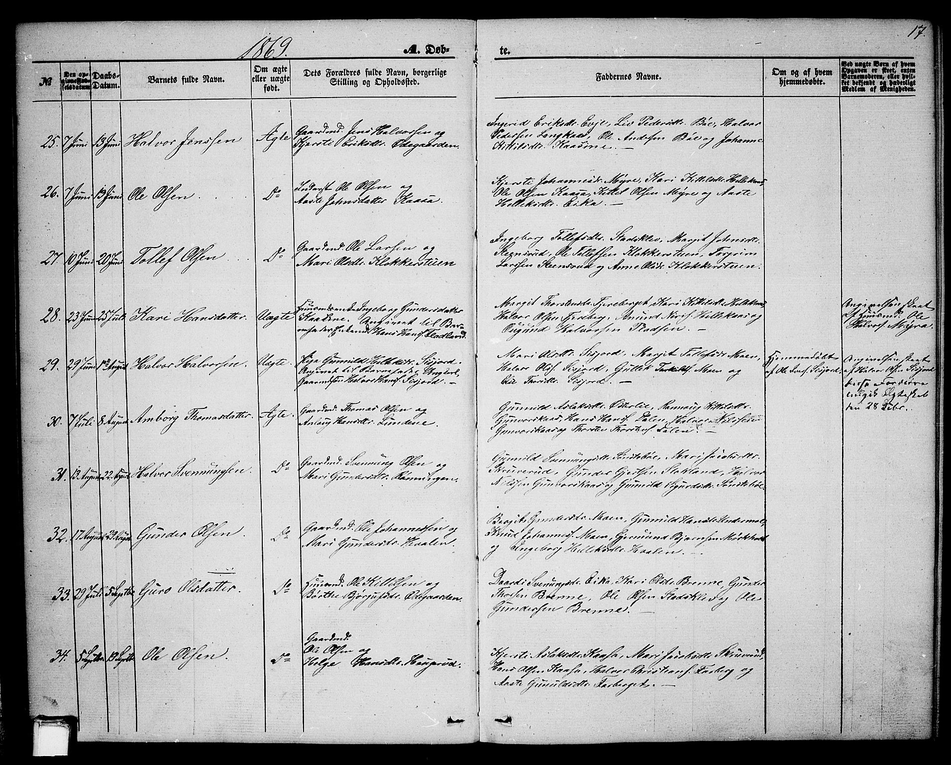 Bø kirkebøker, AV/SAKO-A-257/G/Ga/L0003: Parish register (copy) no. 3, 1866-1875, p. 17