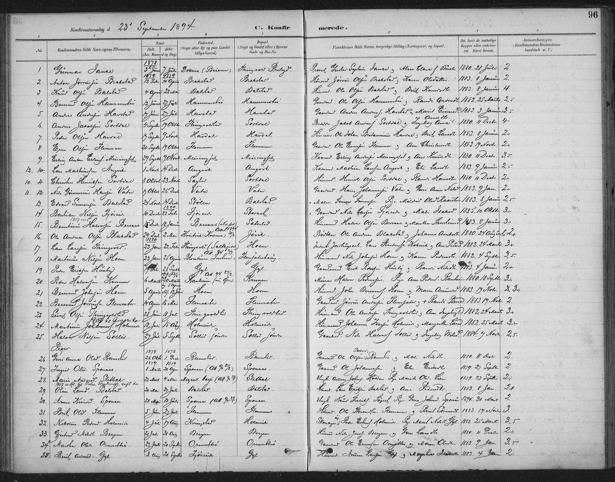 Ministerialprotokoller, klokkerbøker og fødselsregistre - Møre og Romsdal, SAT/A-1454/586/L0988: Parish register (official) no. 586A14, 1893-1905, p. 96
