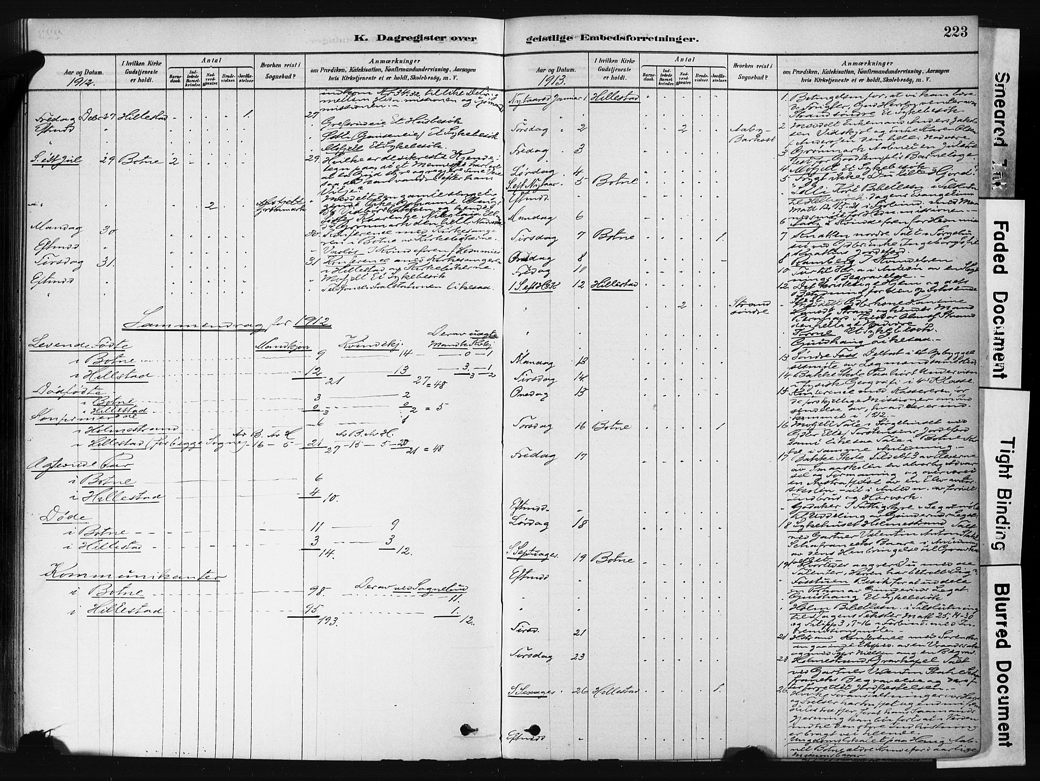 Botne kirkebøker, AV/SAKO-A-340/F/Fb/L0001: Parish register (official) no. II 1, 1878-1902, p. 223