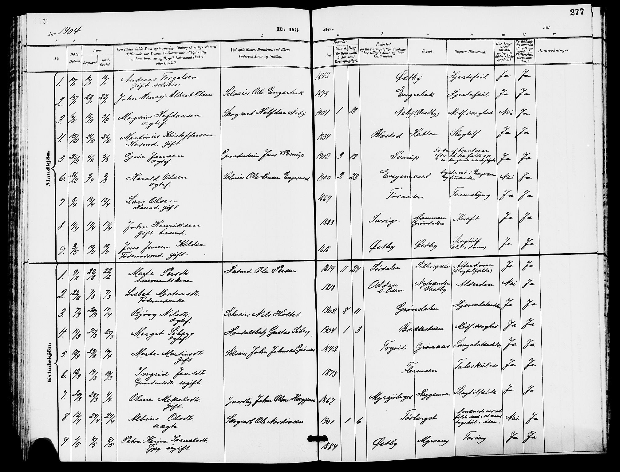 Trysil prestekontor, SAH/PREST-046/H/Ha/Hab/L0006: Parish register (copy) no. 6, 1896-1912, p. 277