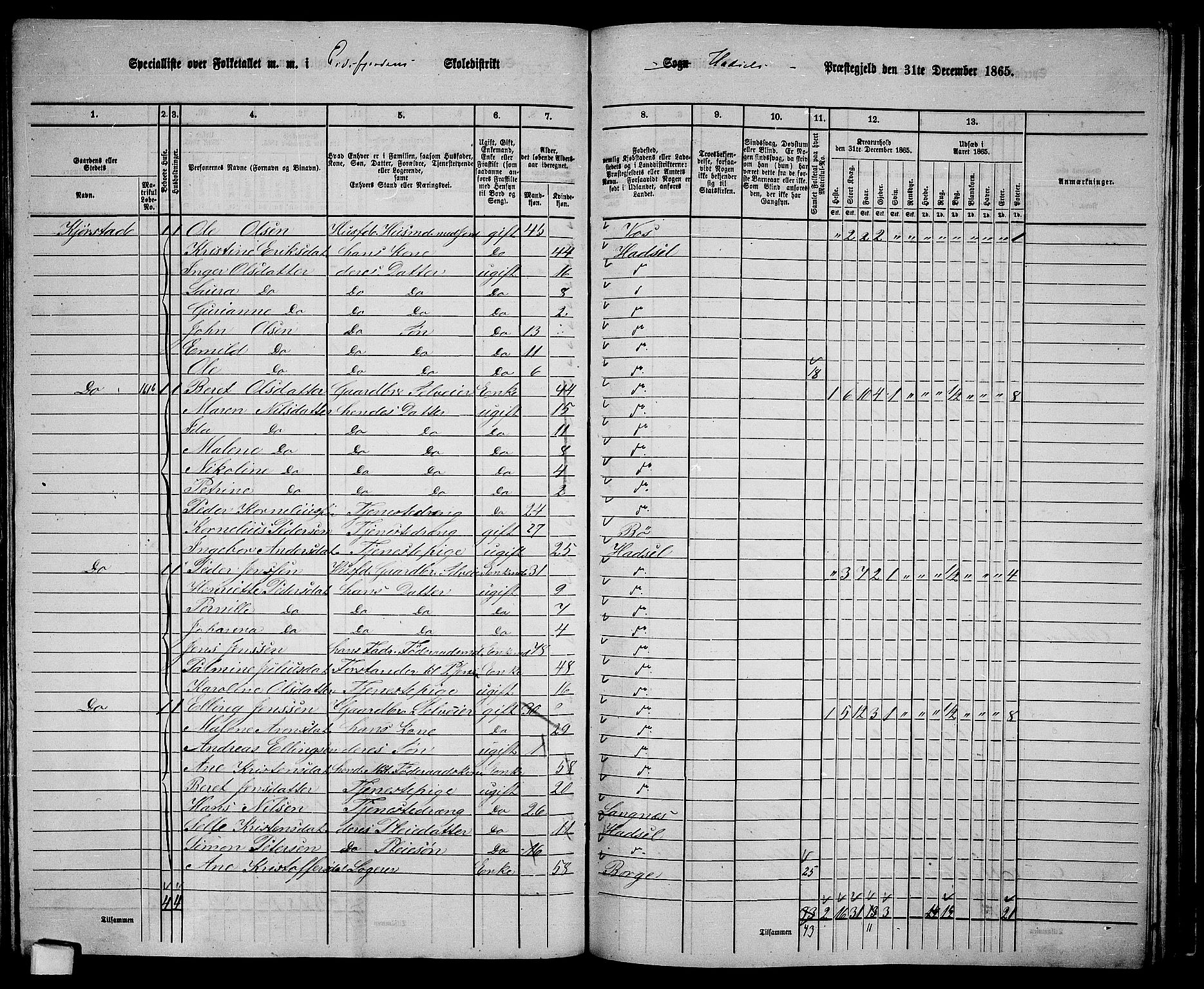 RA, 1865 census for Hadsel, 1865, p. 135