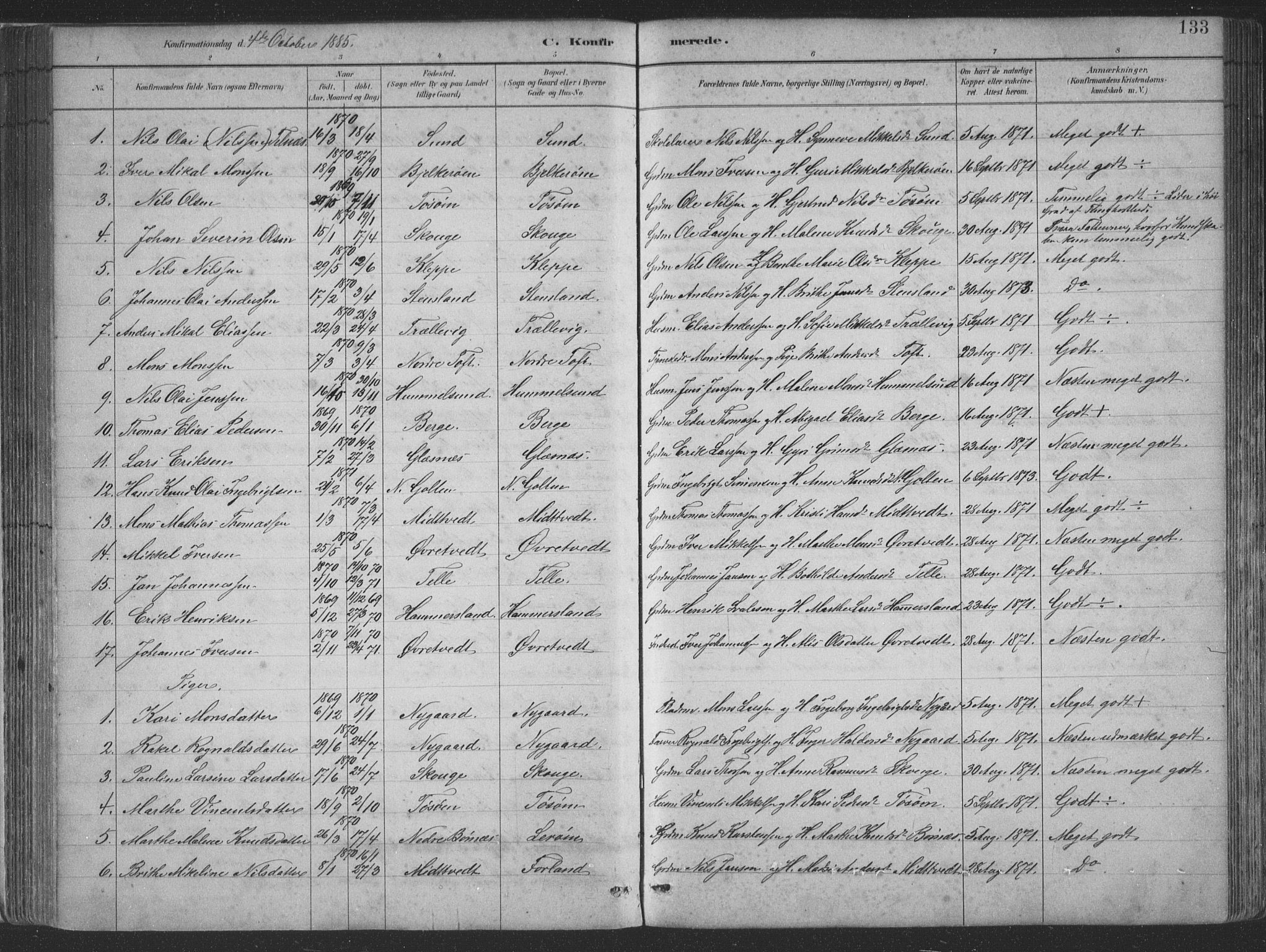 Sund sokneprestembete, SAB/A-99930: Parish register (copy) no. B 3, 1882-1911, p. 133