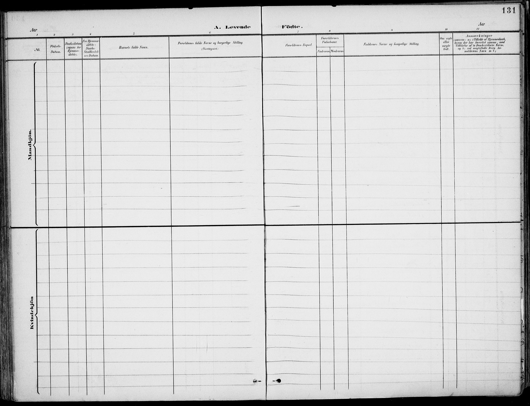 Barbu sokneprestkontor, AV/SAK-1111-0003/F/Fa/L0005: Parish register (official) no. A 5, 1899-1909, p. 131