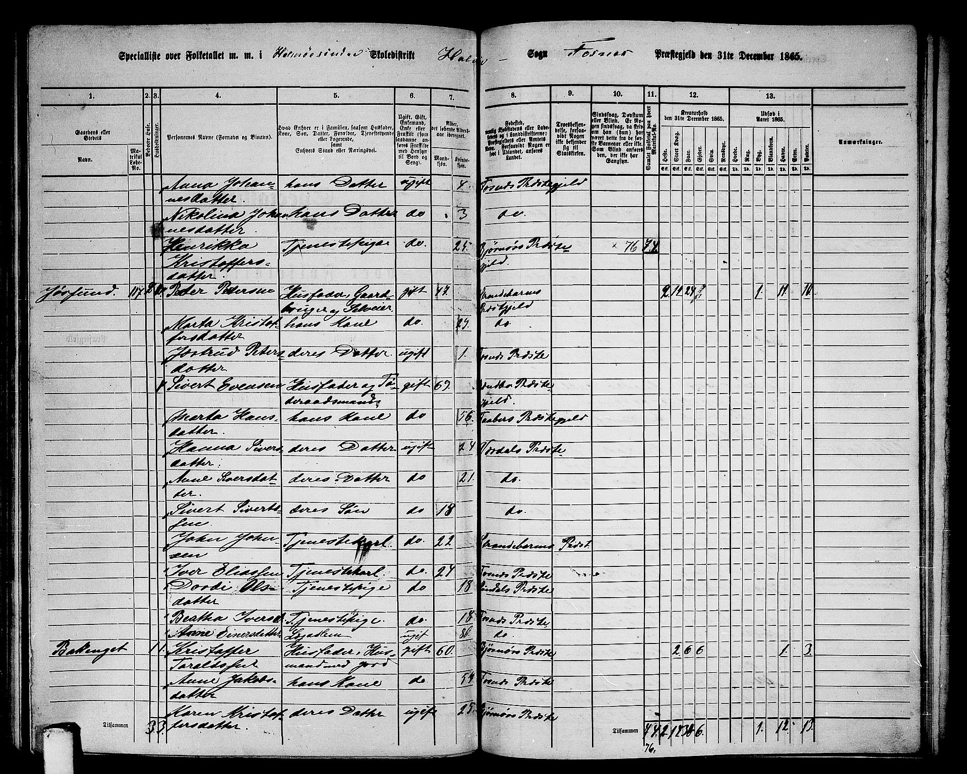 RA, 1865 census for Fosnes, 1865, p. 117