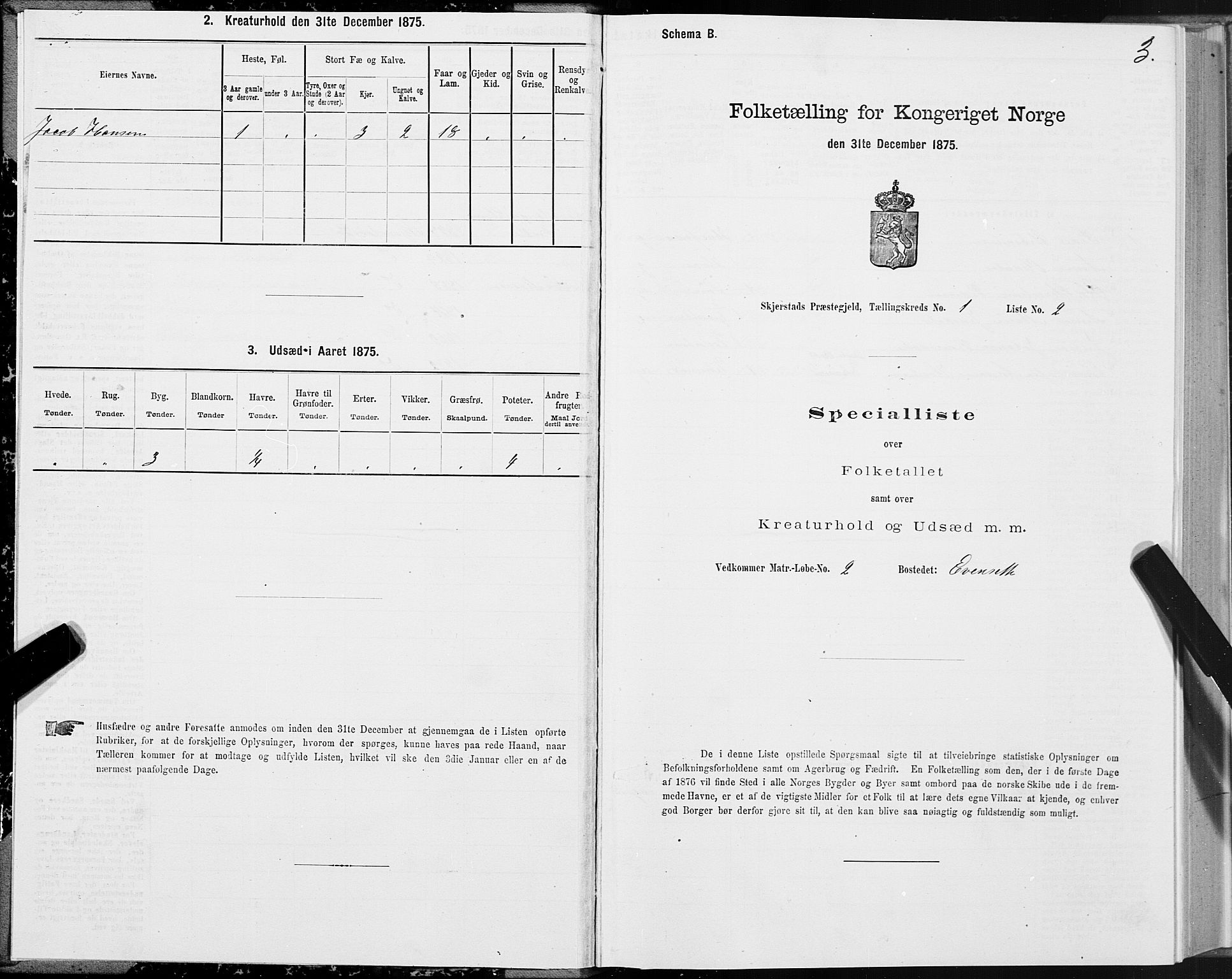 SAT, 1875 census for 1842P Skjerstad, 1875, p. 1003