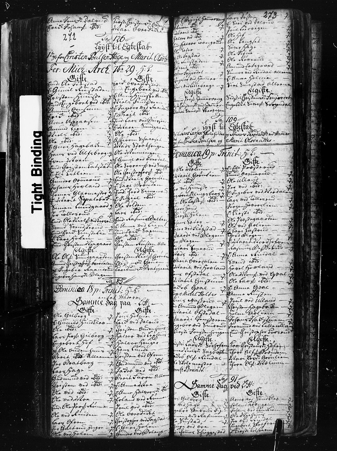 Fåberg prestekontor, AV/SAH-PREST-086/H/Ha/Hab/L0001: Parish register (copy) no. 1, 1727-1767, p. 272-273