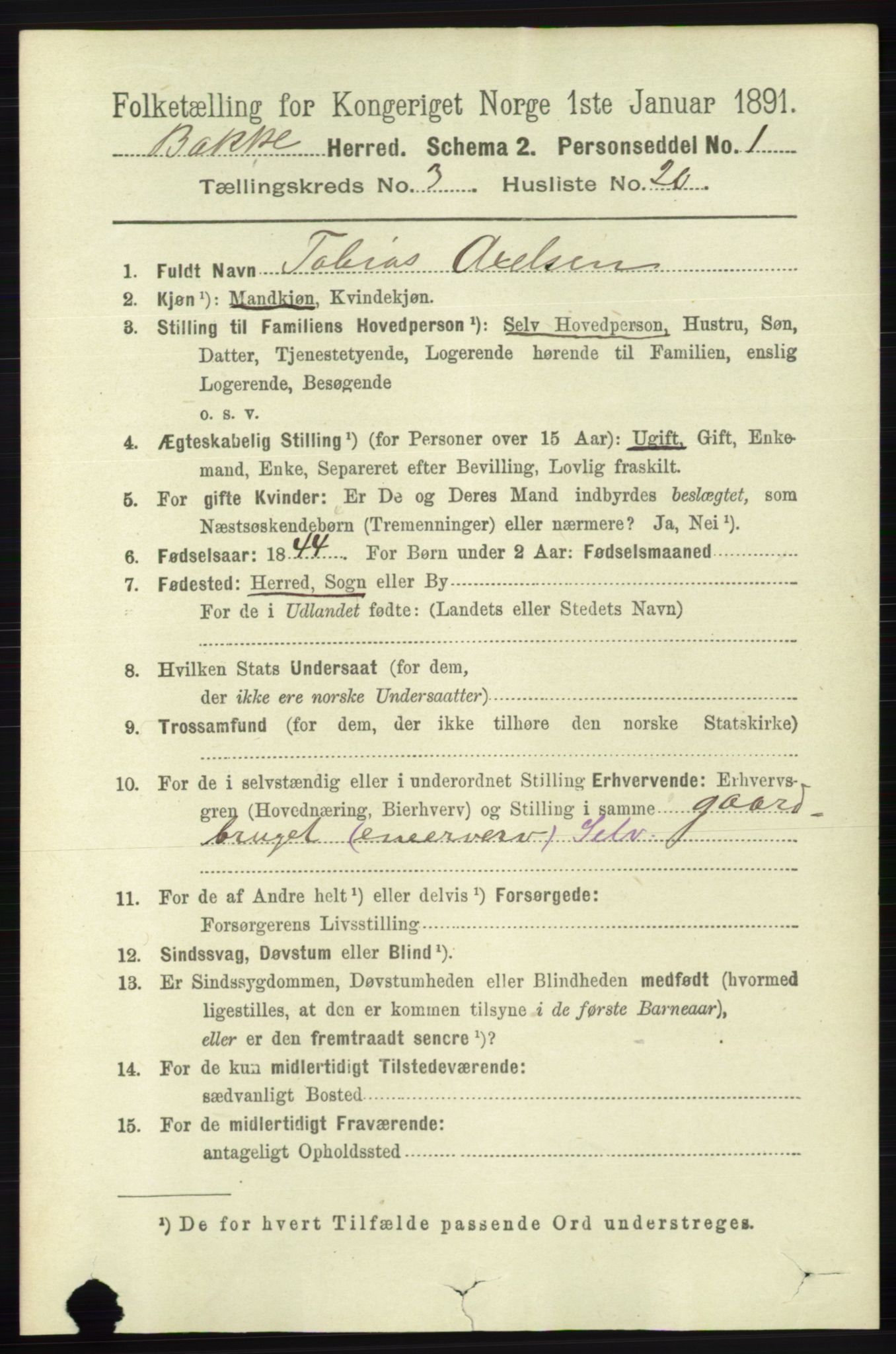 RA, 1891 census for 1045 Bakke, 1891, p. 537