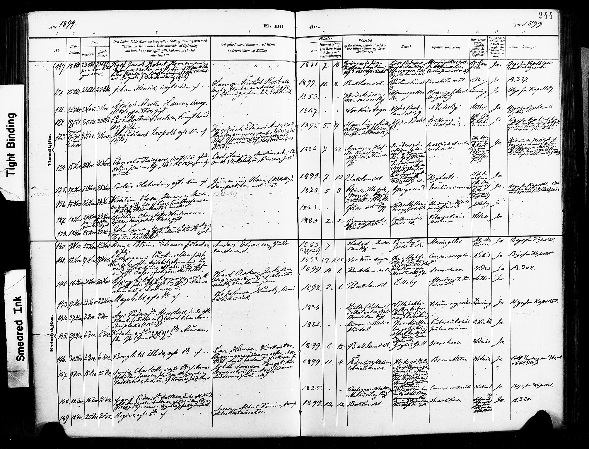 Ministerialprotokoller, klokkerbøker og fødselsregistre - Sør-Trøndelag, AV/SAT-A-1456/604/L0198: Parish register (official) no. 604A19, 1893-1900, p. 244