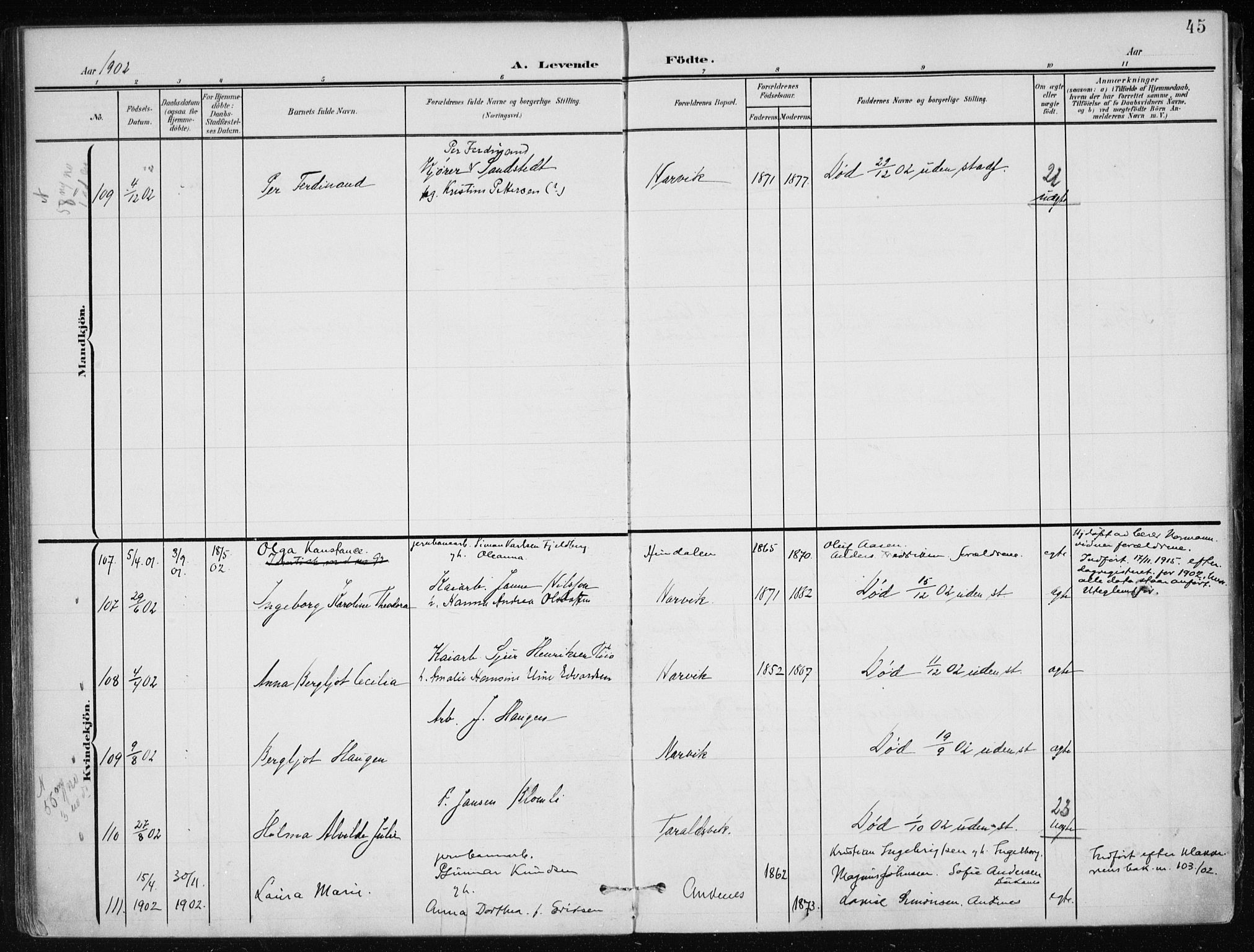 Ministerialprotokoller, klokkerbøker og fødselsregistre - Nordland, SAT/A-1459/866/L0941: Parish register (official) no. 866A04, 1901-1917, p. 45