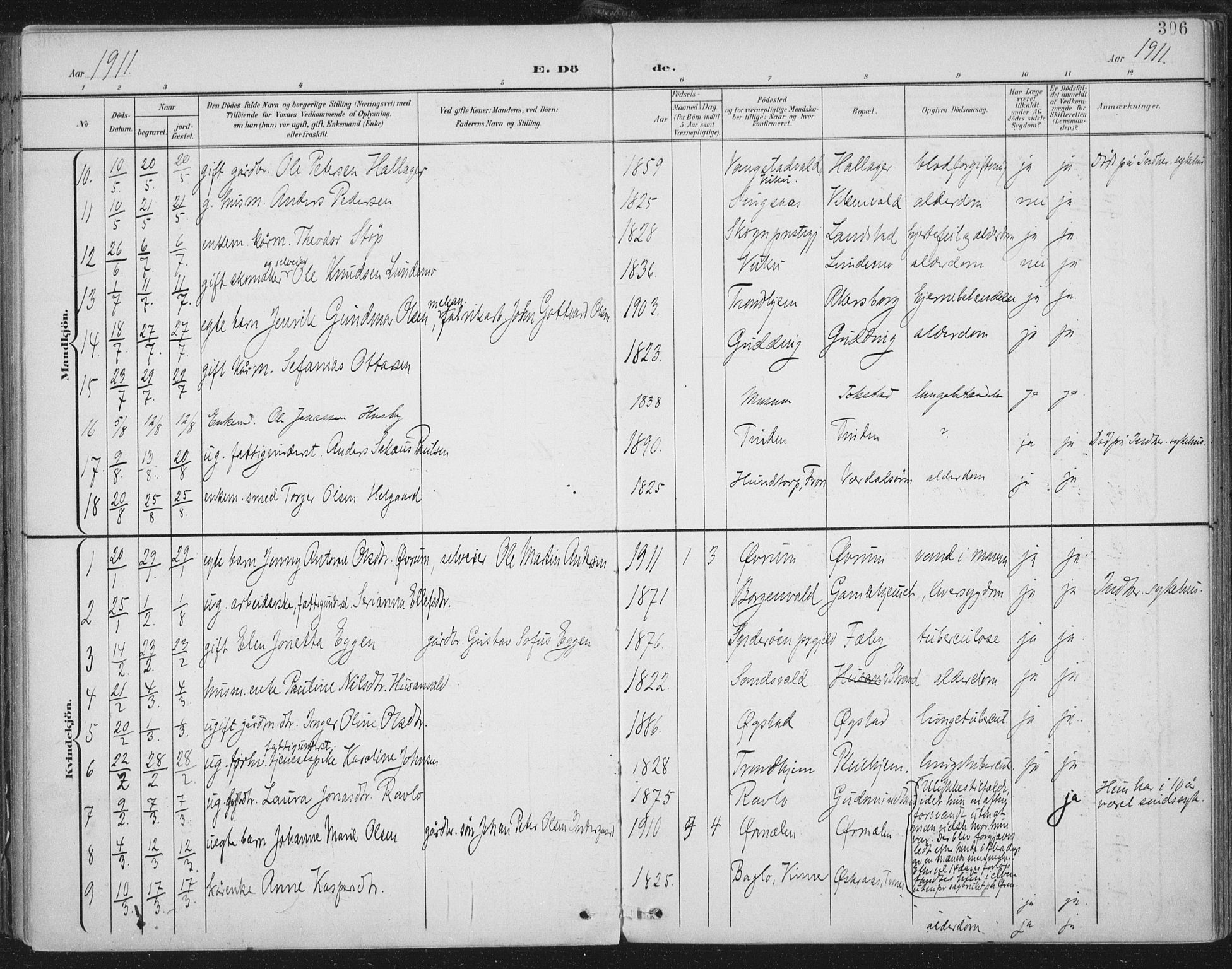 Ministerialprotokoller, klokkerbøker og fødselsregistre - Nord-Trøndelag, SAT/A-1458/723/L0246: Parish register (official) no. 723A15, 1900-1917, p. 306