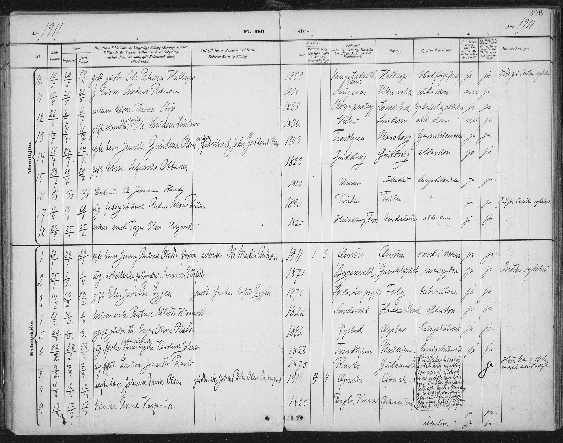 Ministerialprotokoller, klokkerbøker og fødselsregistre - Nord-Trøndelag, AV/SAT-A-1458/723/L0246: Parish register (official) no. 723A15, 1900-1917, p. 306