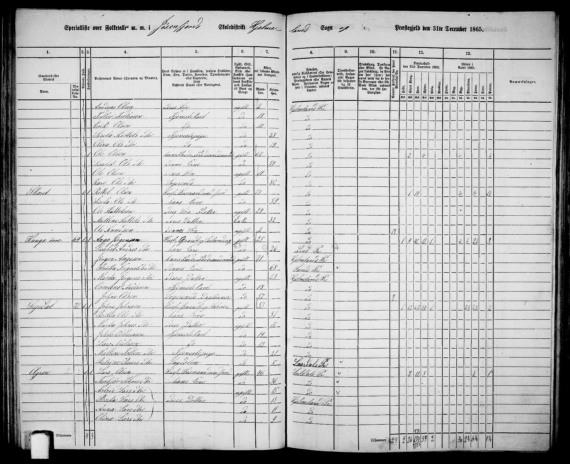 RA, 1865 census for Hjelmeland, 1865, p. 54