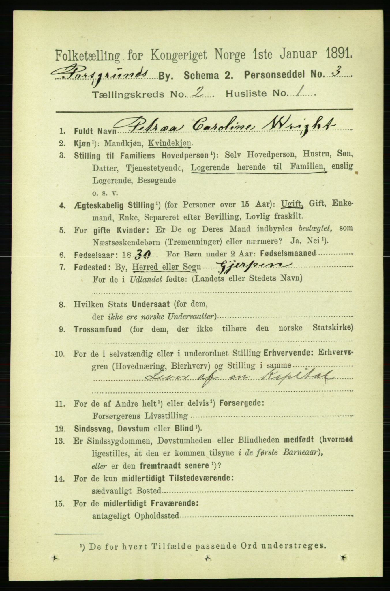 RA, 1891 census for 0805 Porsgrunn, 1891, p. 2131