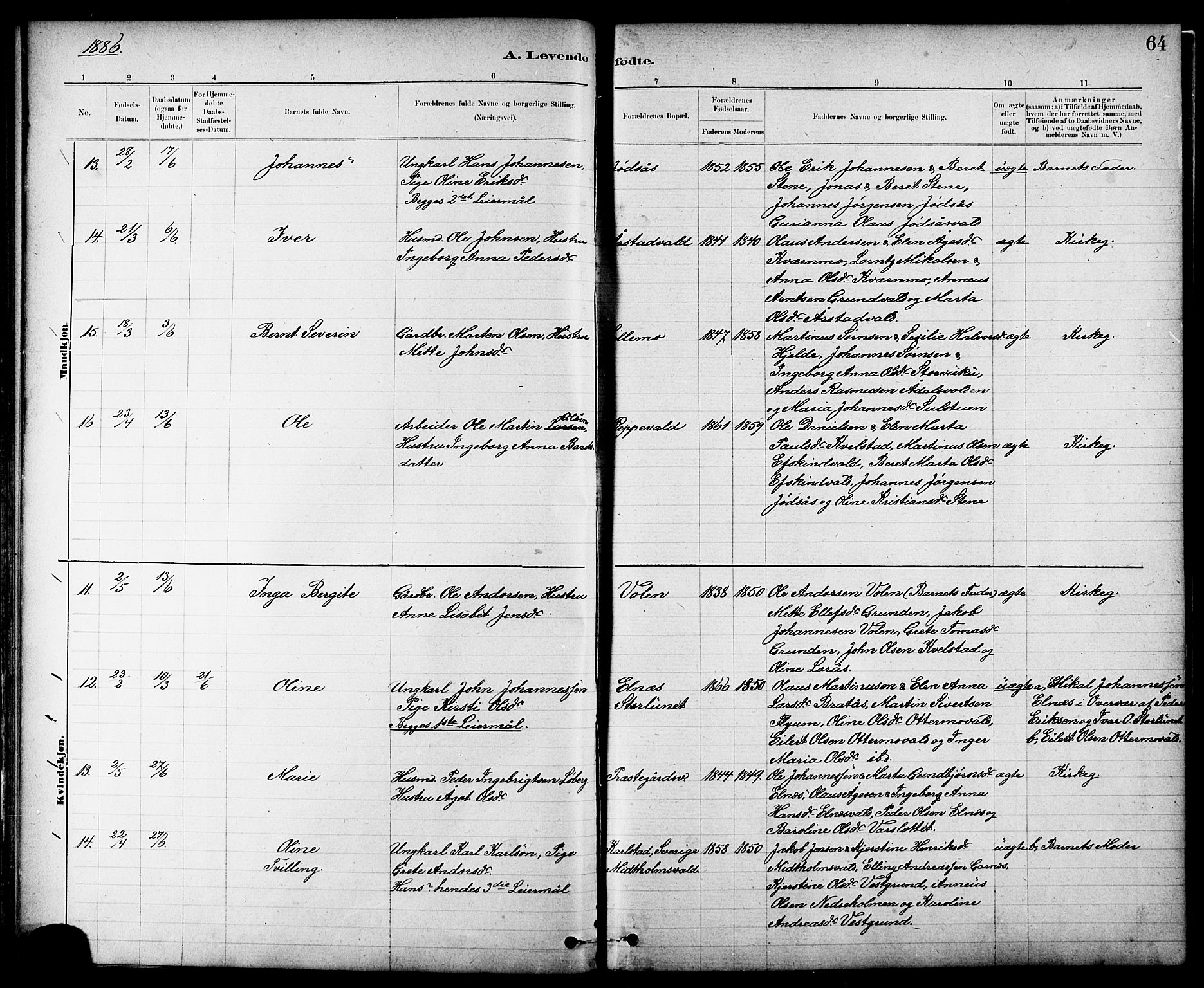 Ministerialprotokoller, klokkerbøker og fødselsregistre - Nord-Trøndelag, AV/SAT-A-1458/724/L0267: Parish register (copy) no. 724C03, 1879-1898, p. 64
