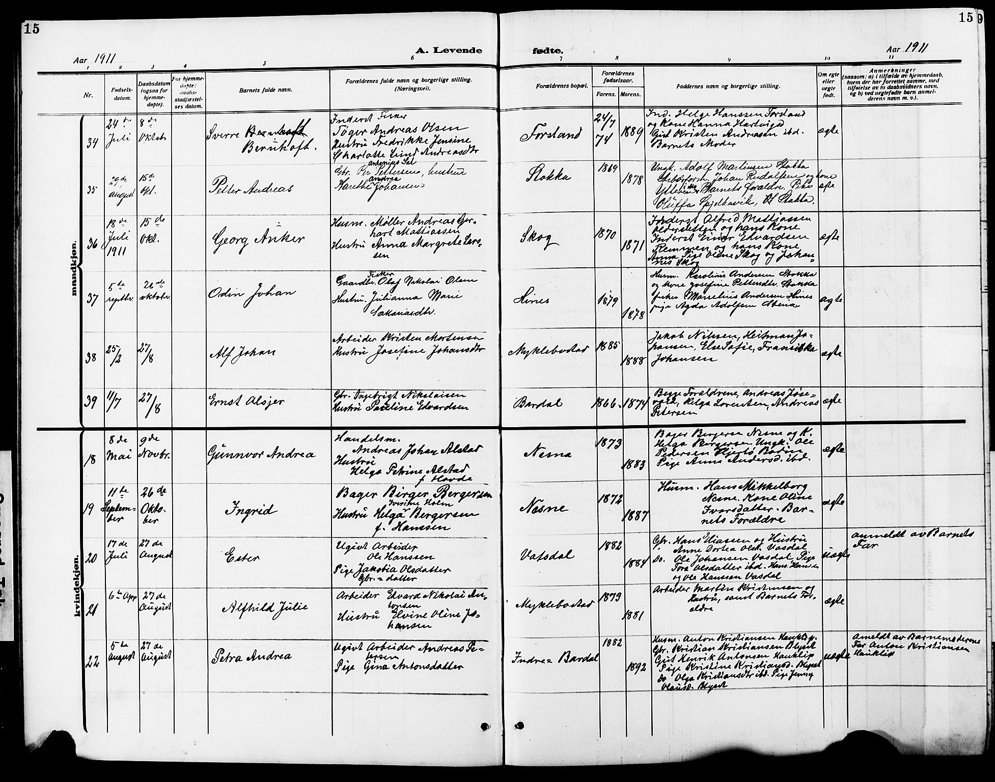 Ministerialprotokoller, klokkerbøker og fødselsregistre - Nordland, SAT/A-1459/838/L0560: Parish register (copy) no. 838C07, 1910-1928, p. 15