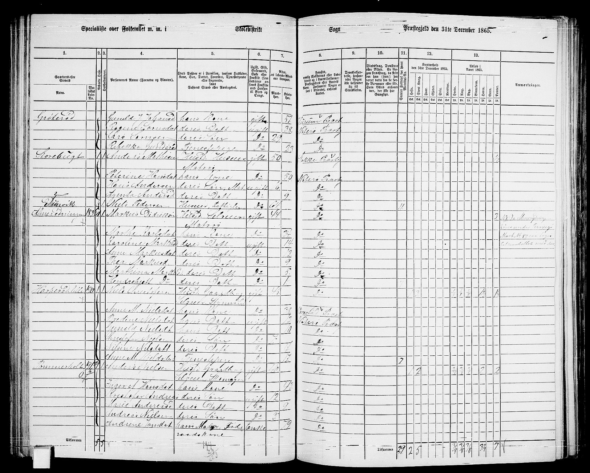 RA, 1865 census for Nøtterøy, 1865, p. 162