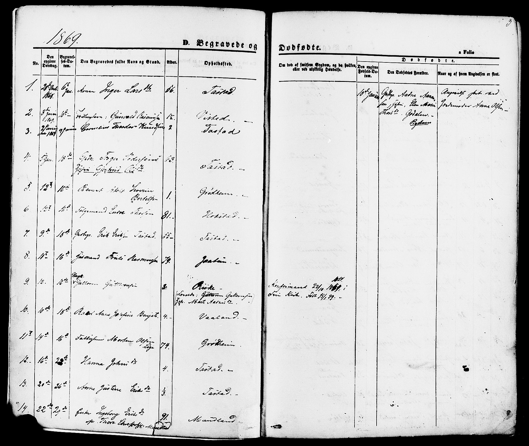 Hetland sokneprestkontor, SAST/A-101826/30/30BA/L0006: Parish register (official) no. A 6, 1869-1884, p. 3