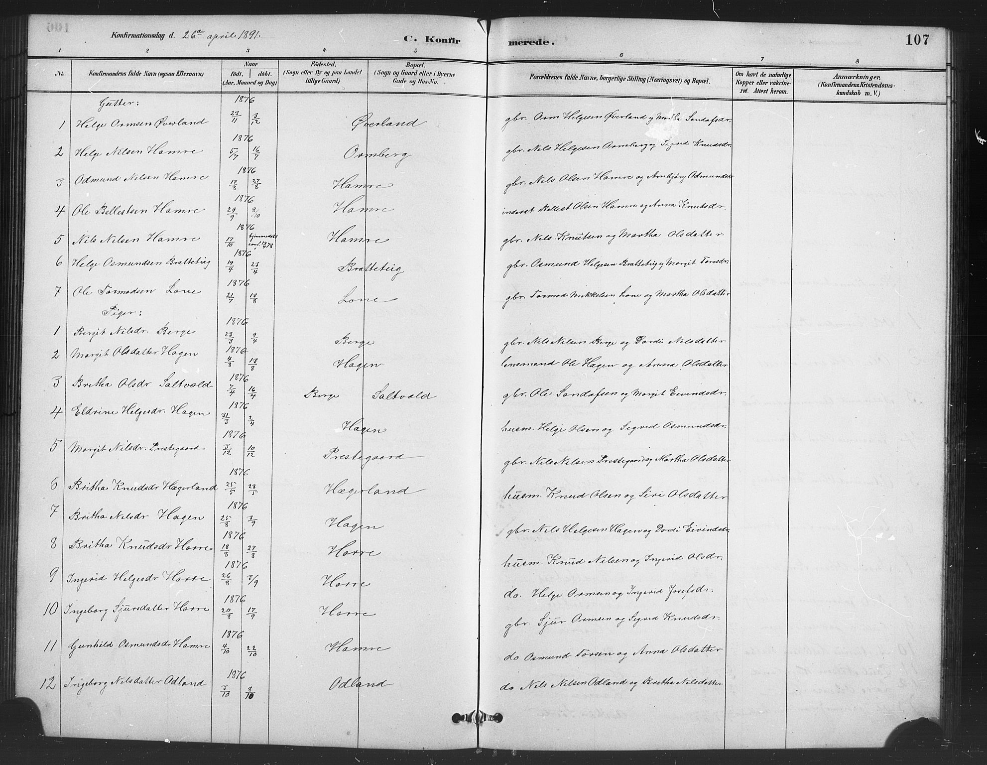 Røldal sokneprestembete, SAB/A-100247: Parish register (copy) no. A 3, 1887-1917, p. 107