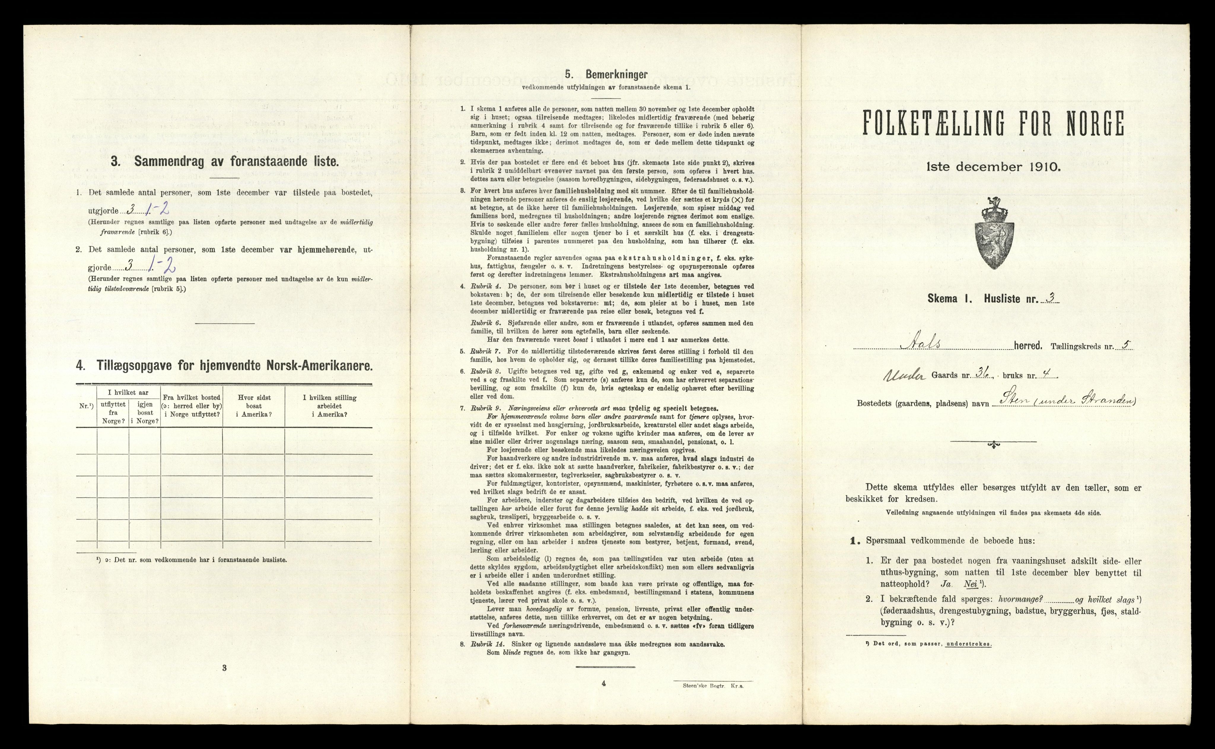 RA, 1910 census for Ål, 1910, p. 503