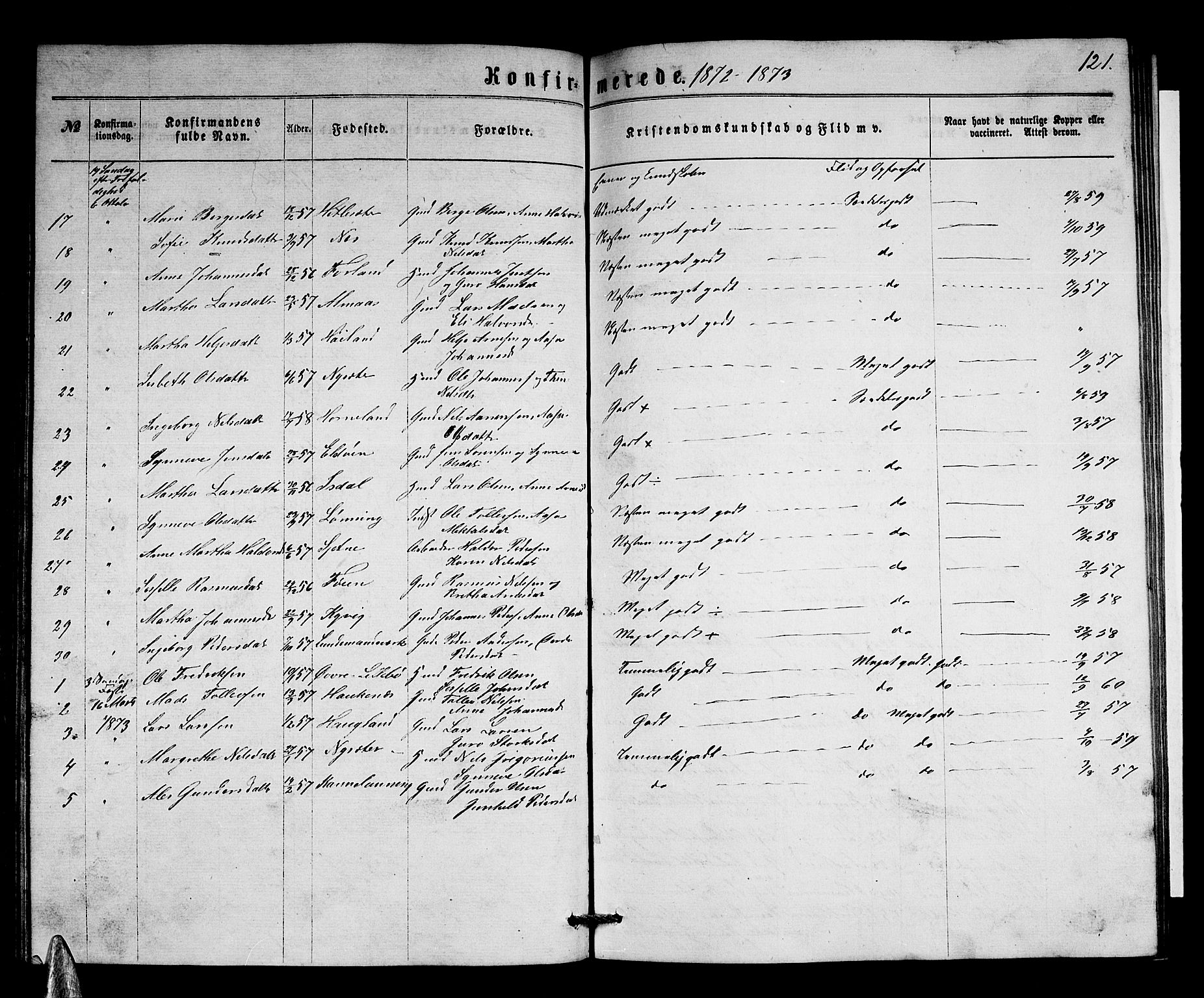 Stord sokneprestembete, SAB/A-78201/H/Hab: Parish register (copy) no. A 1, 1864-1878, p. 121