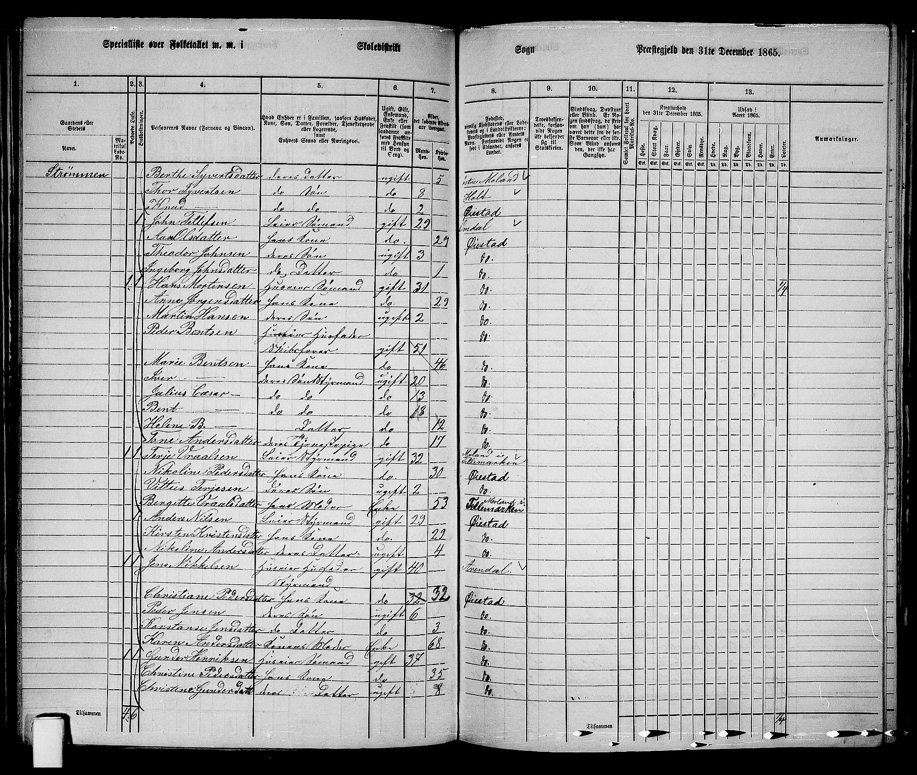 RA, 1865 census for Øyestad, 1865, p. 102