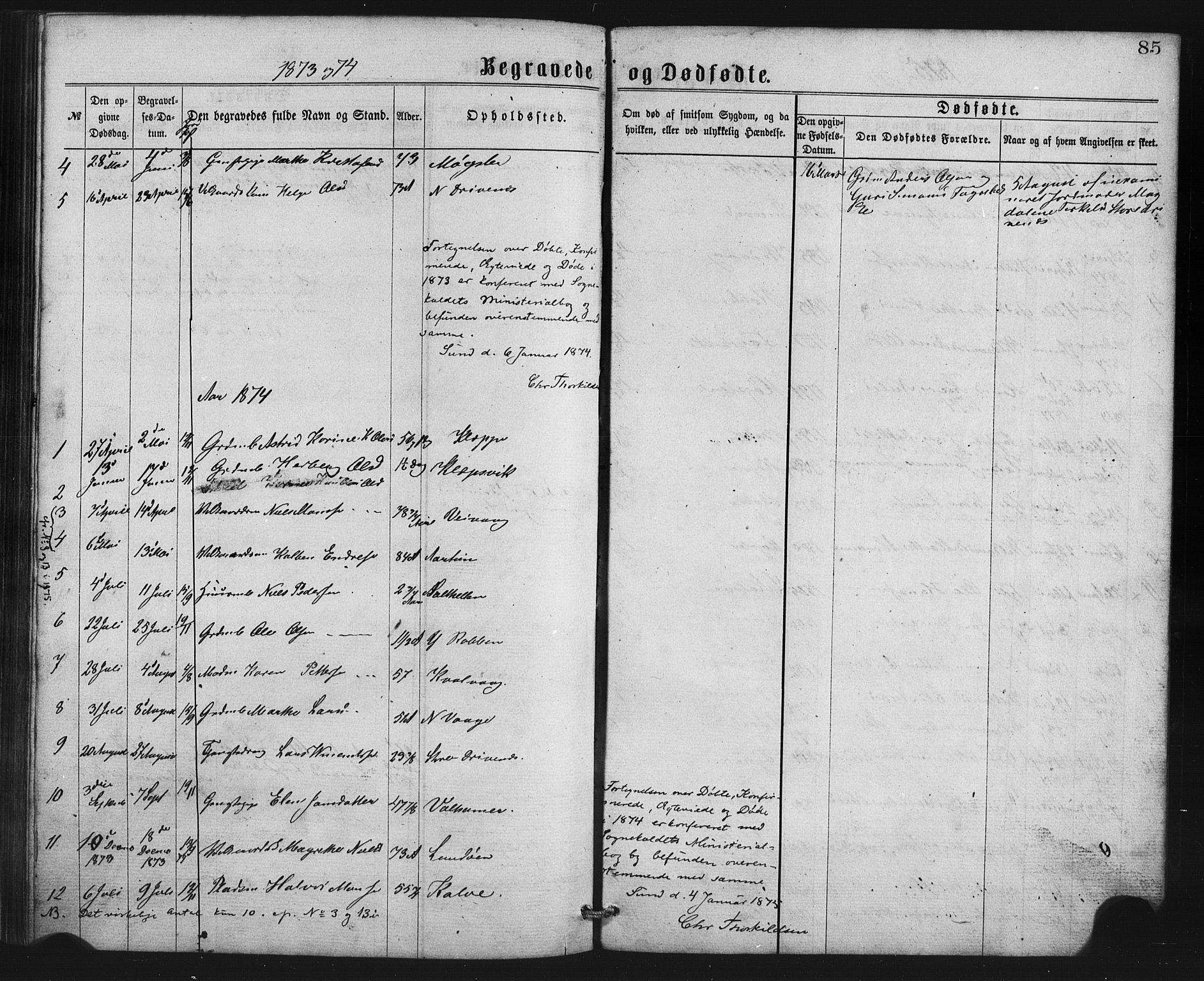 Austevoll Sokneprestembete, SAB/A-74201/H/Hab: Parish register (copy) no. B 2, 1865-1878, p. 85